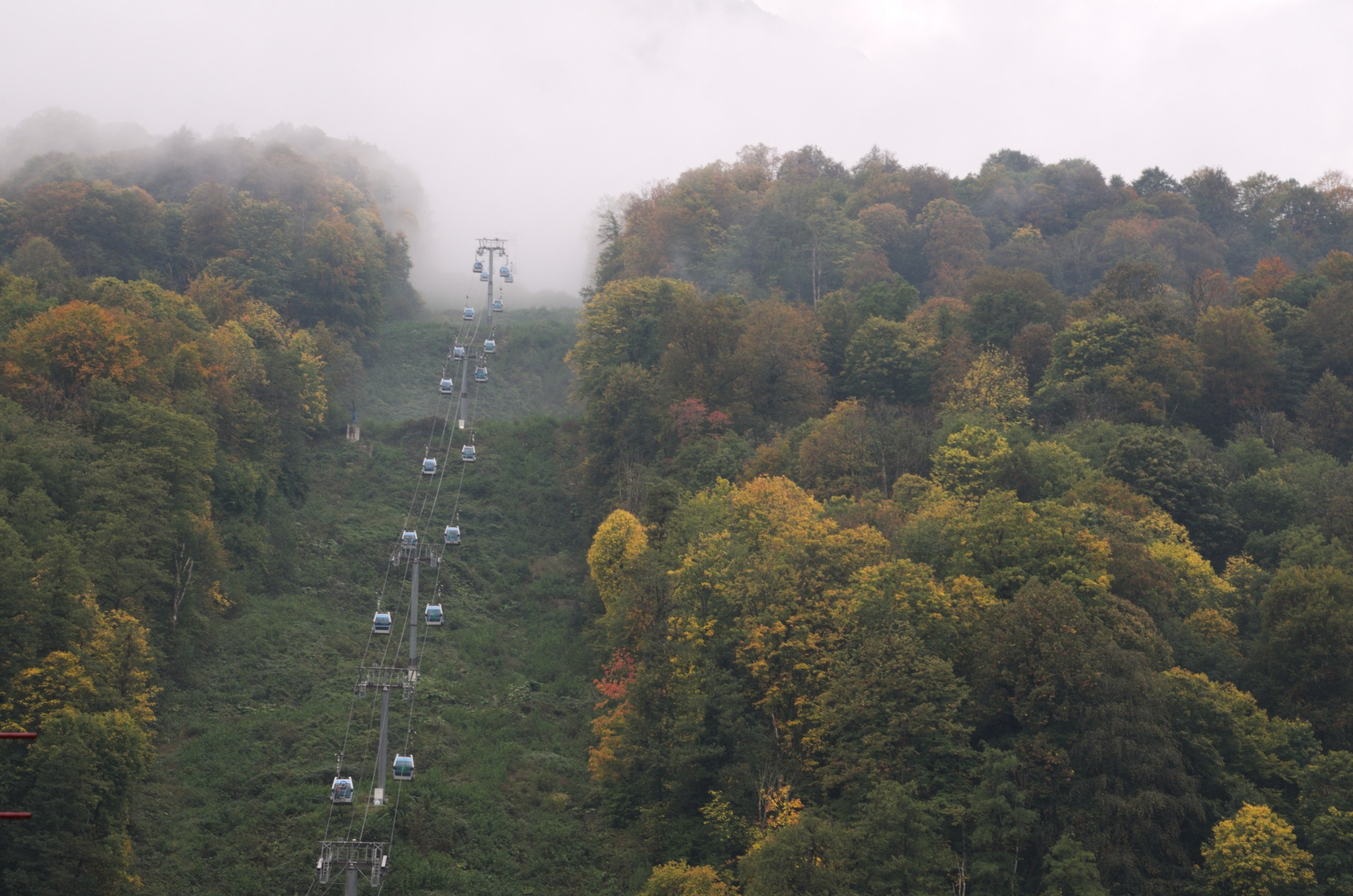 Сочи | 05-06.10.2019. Галерея Фантим