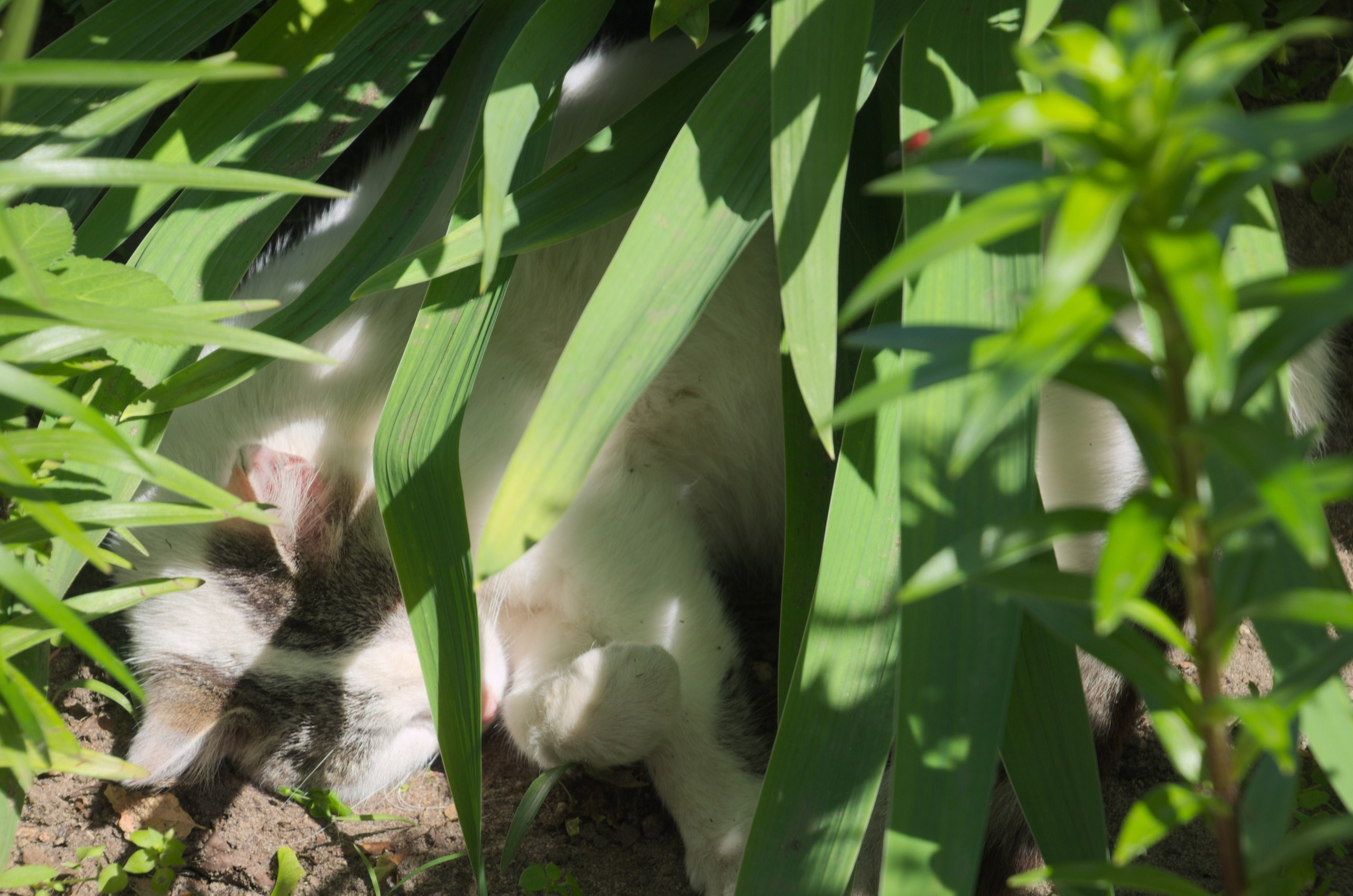 Таруса+Серпухов | 18.06.2017. Галерея Фантим
