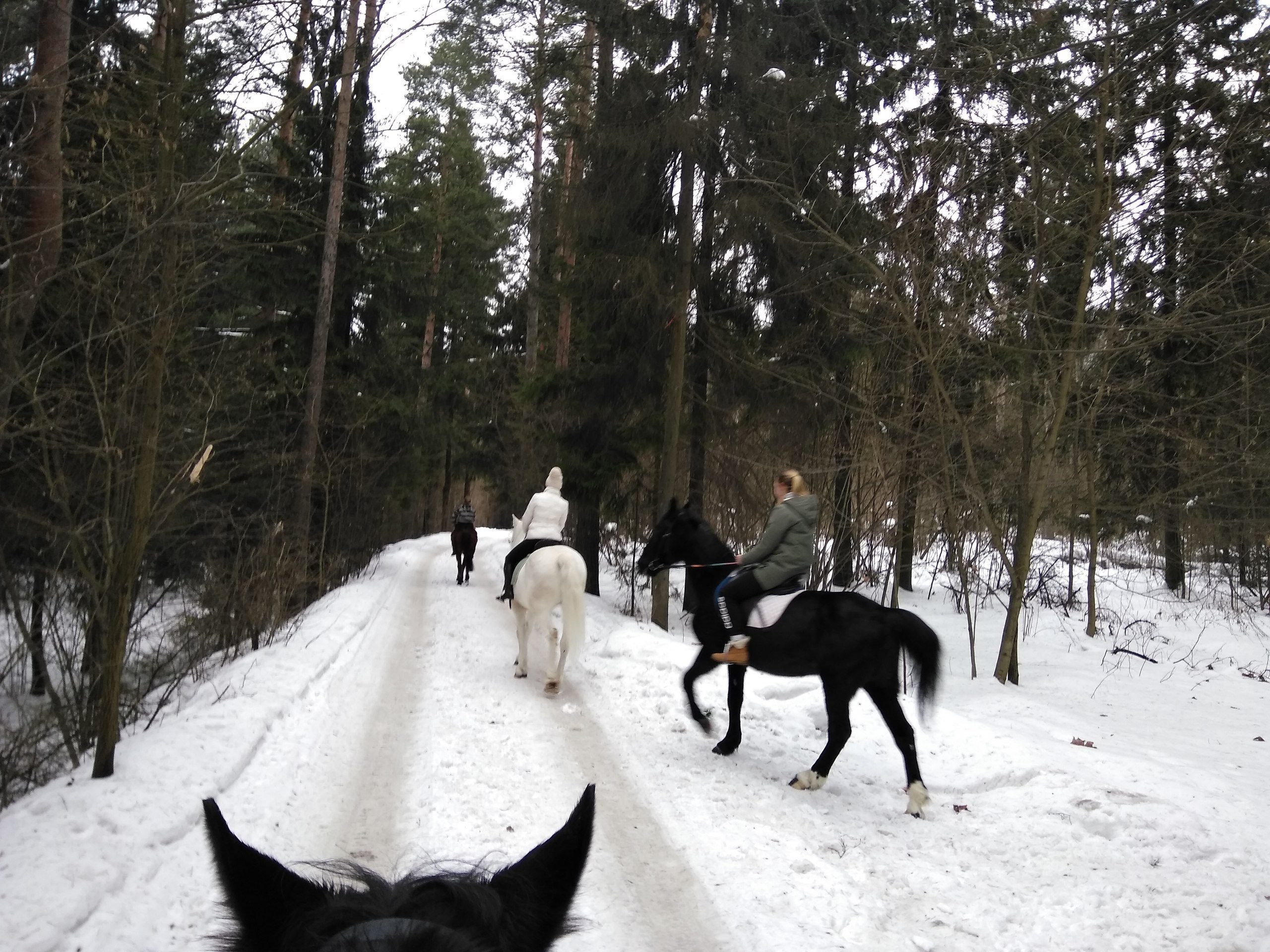 Всего понемногу)). Галерея Фантим