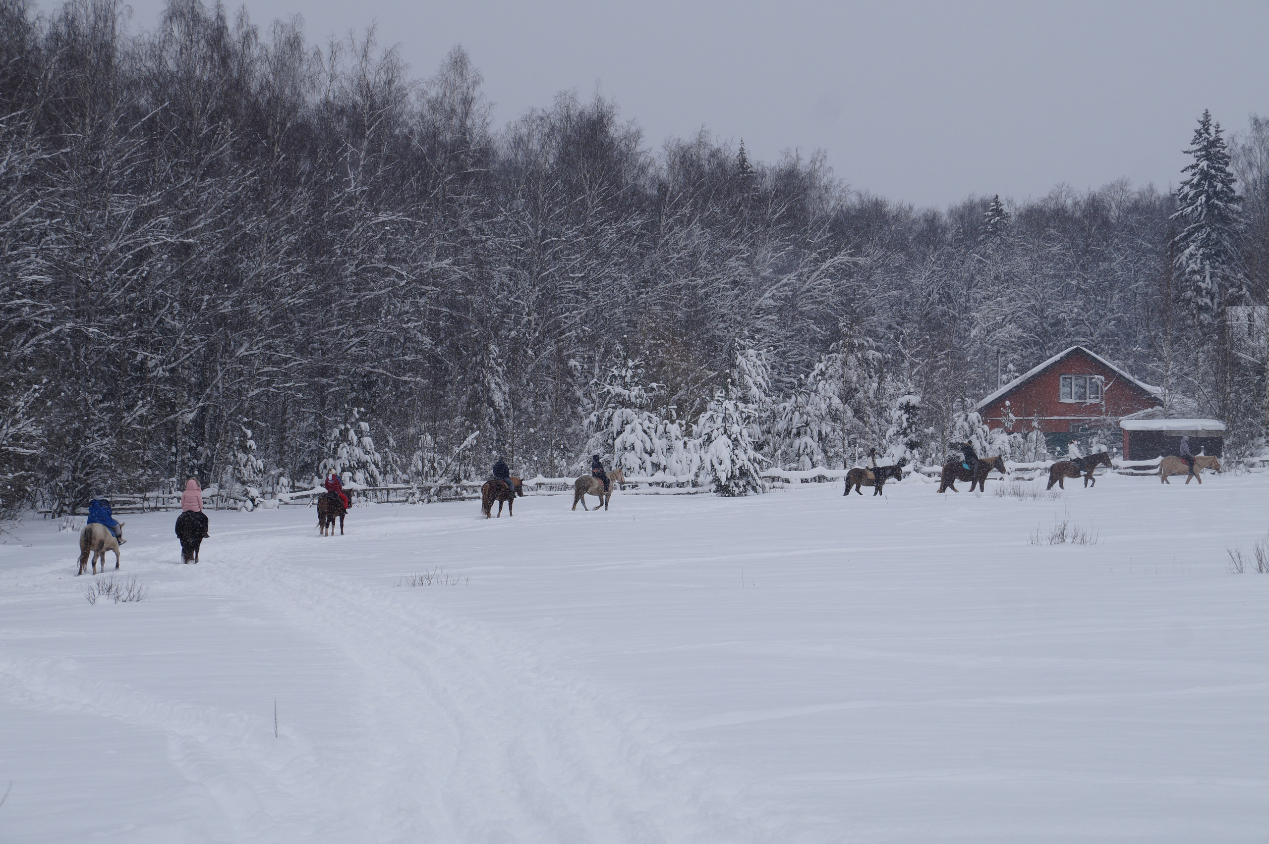 Лошадинг | 11.01.2026. Галерея Фантим