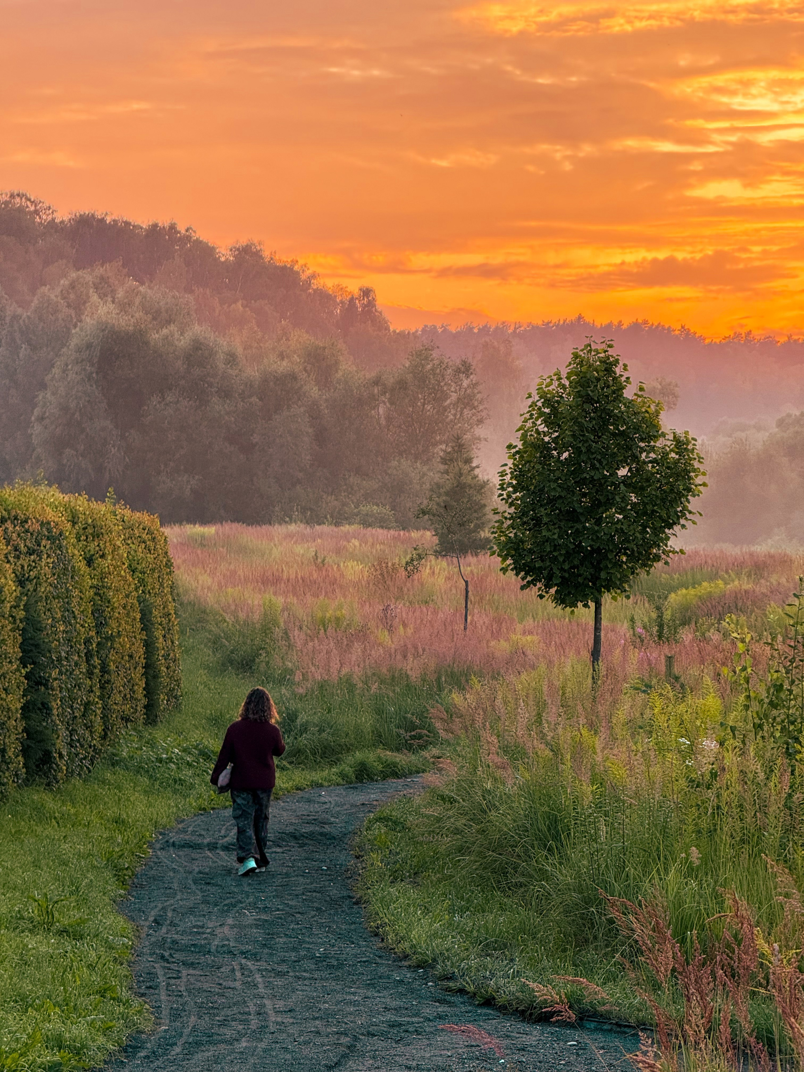 Film and another stuff