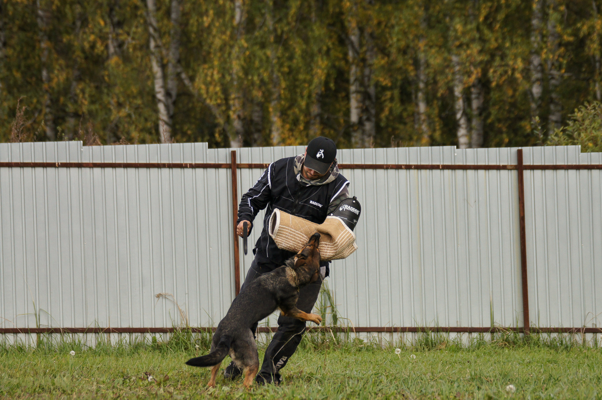 Репортажная съемка. Фотограф-анималист Нижний Новгород