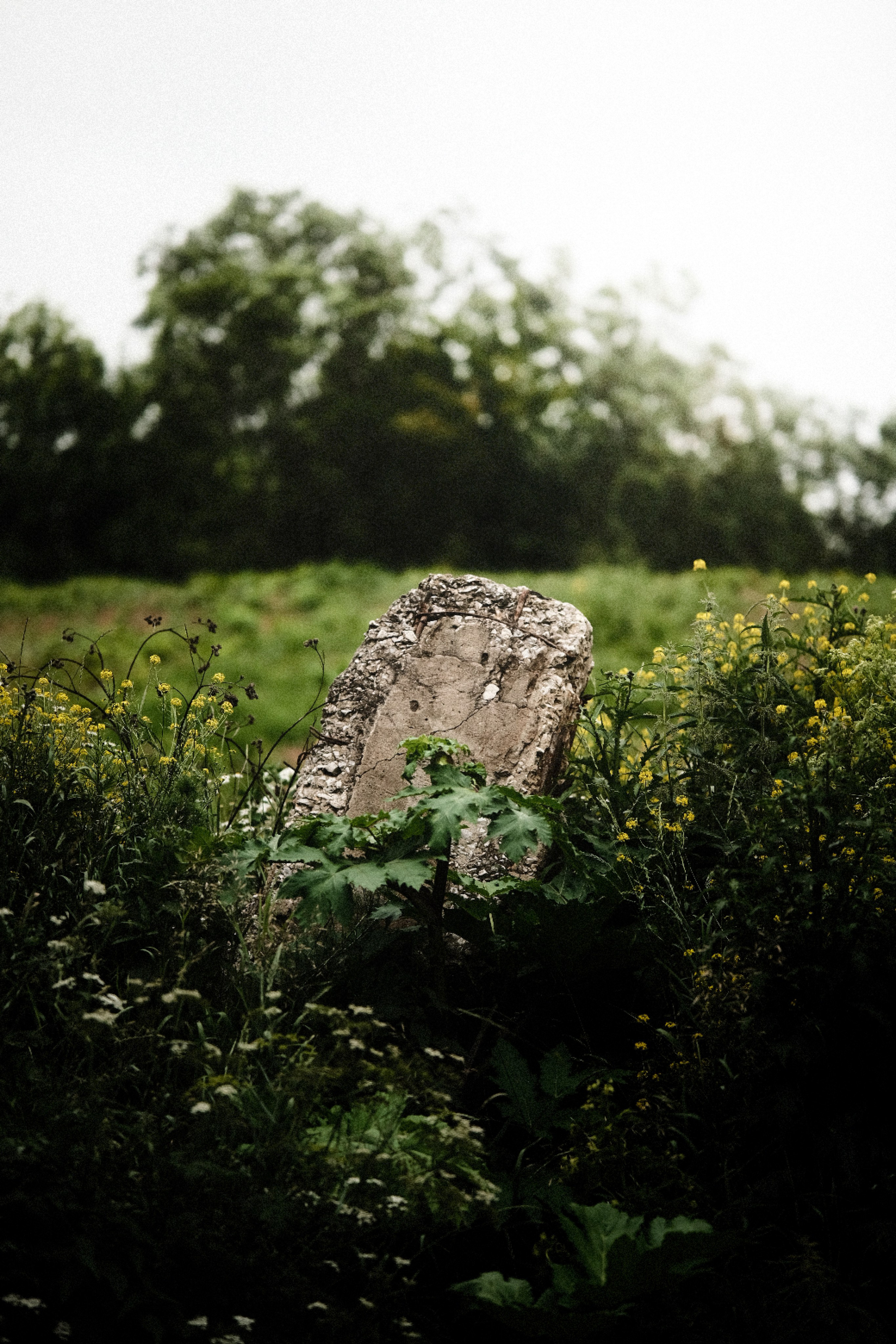 Пейзажи. Фотограф-любитель из Кирова Андрей Погребняк