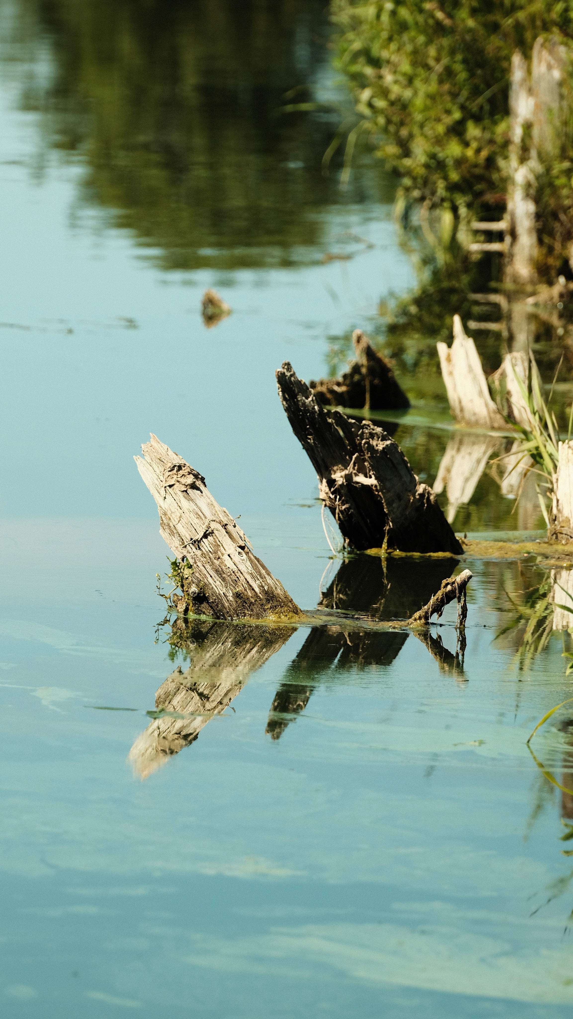 Пейзажи. Фотограф-любитель из Кирова Андрей Погребняк