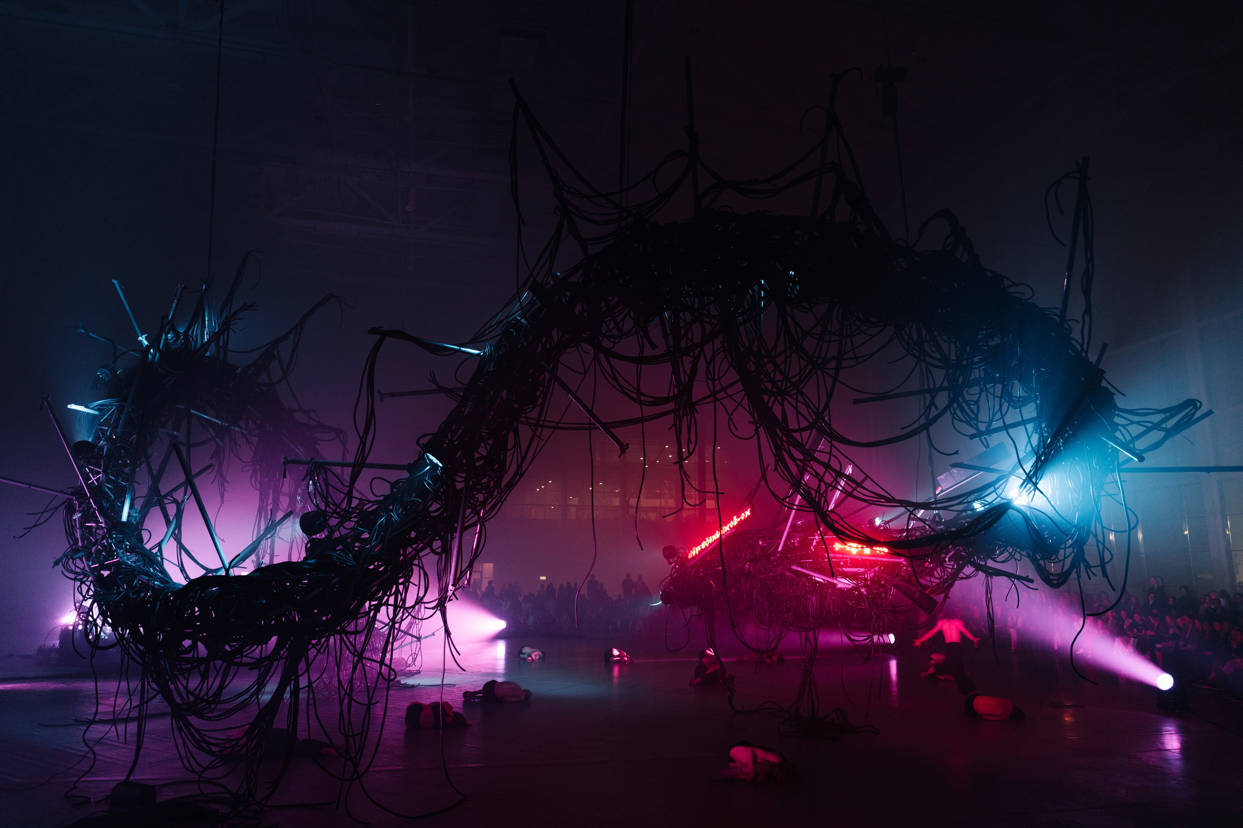 PERFORMA, The Hour of the Horse. @tomrus: Рустам Шагиморданов — фотограф