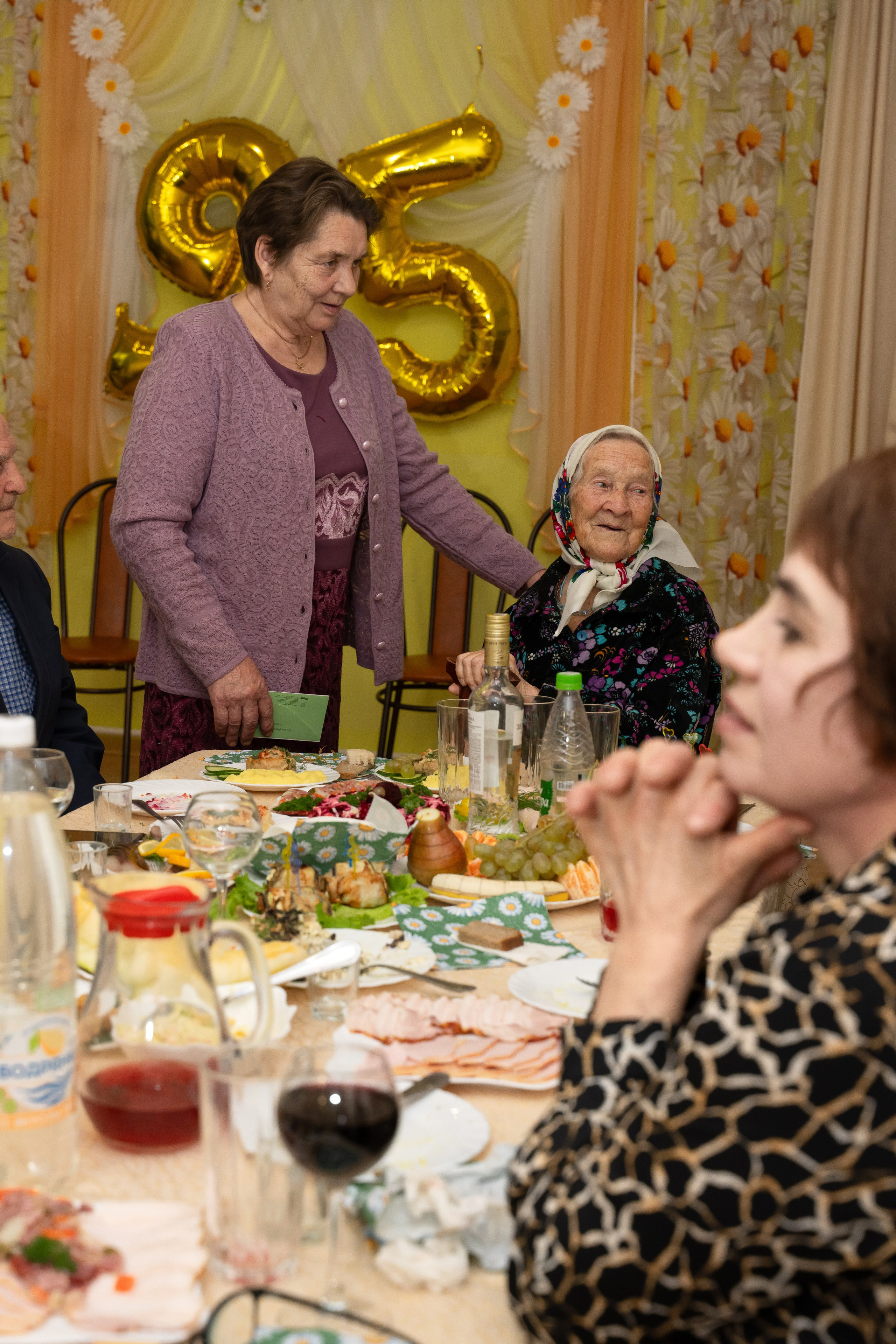 Юбилей — 95 БАБУЛЕ. Главная