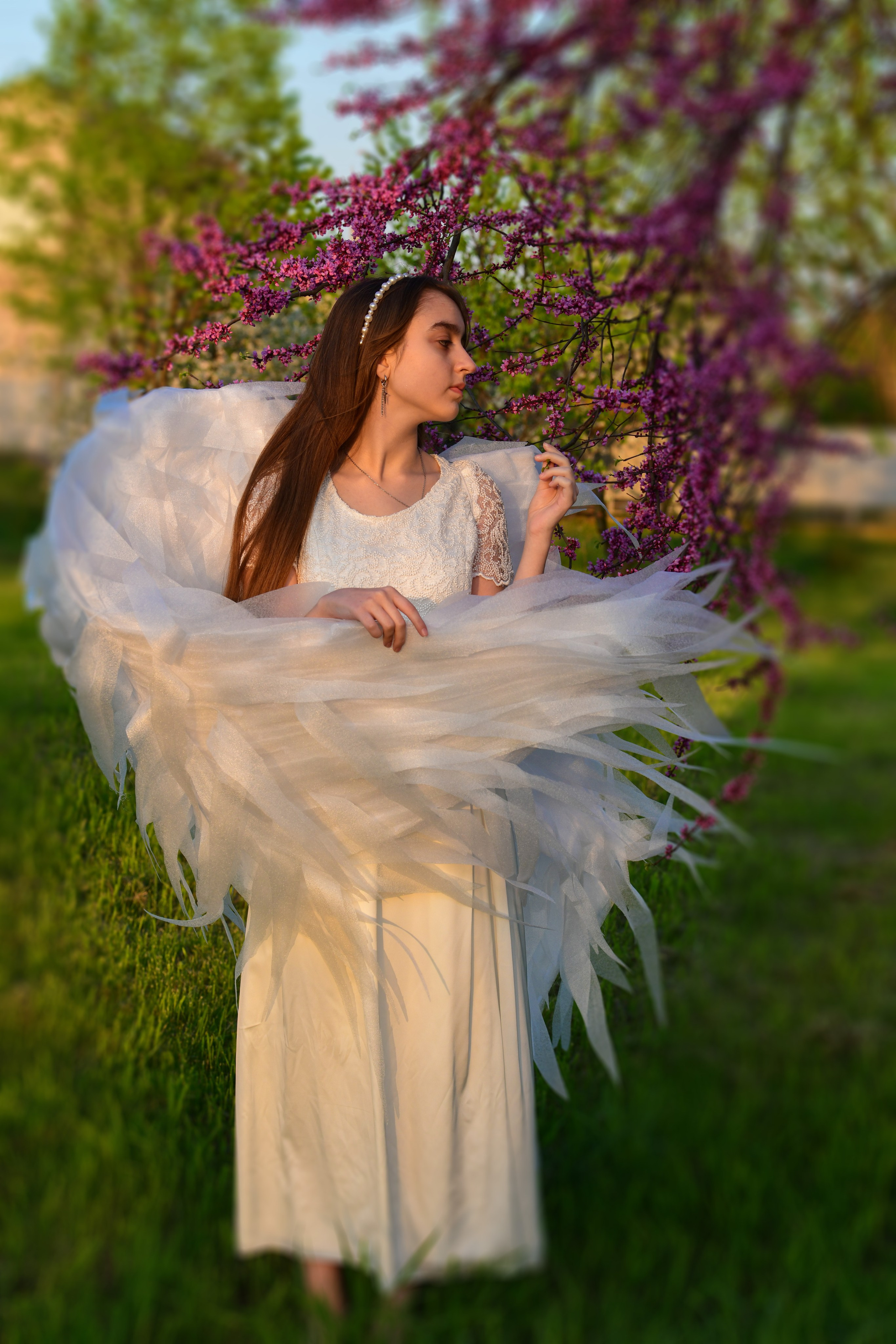 Крылатые истории. Главная