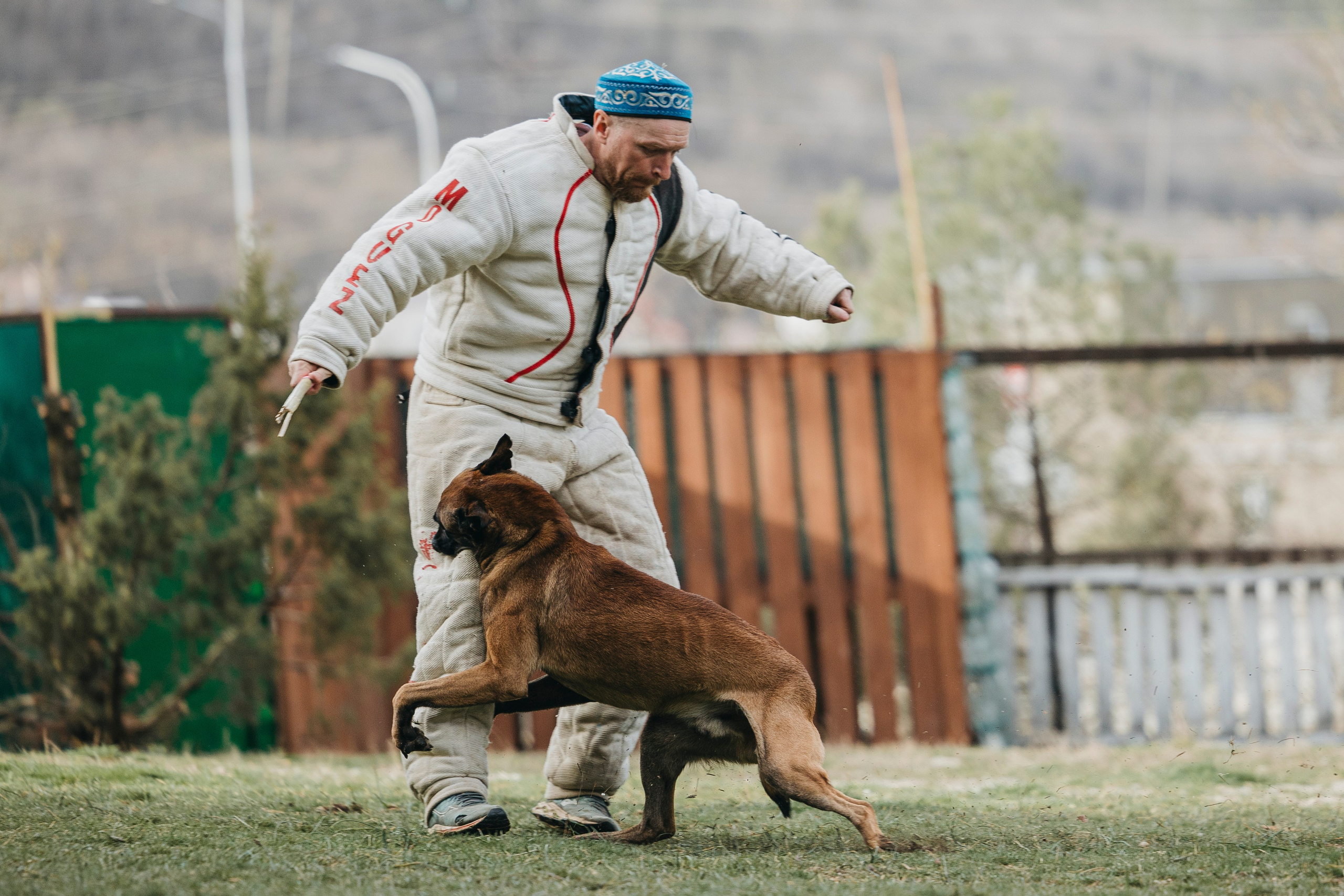 Геленджик Мондьоринг. Фотограф-анималист Анна Маринич