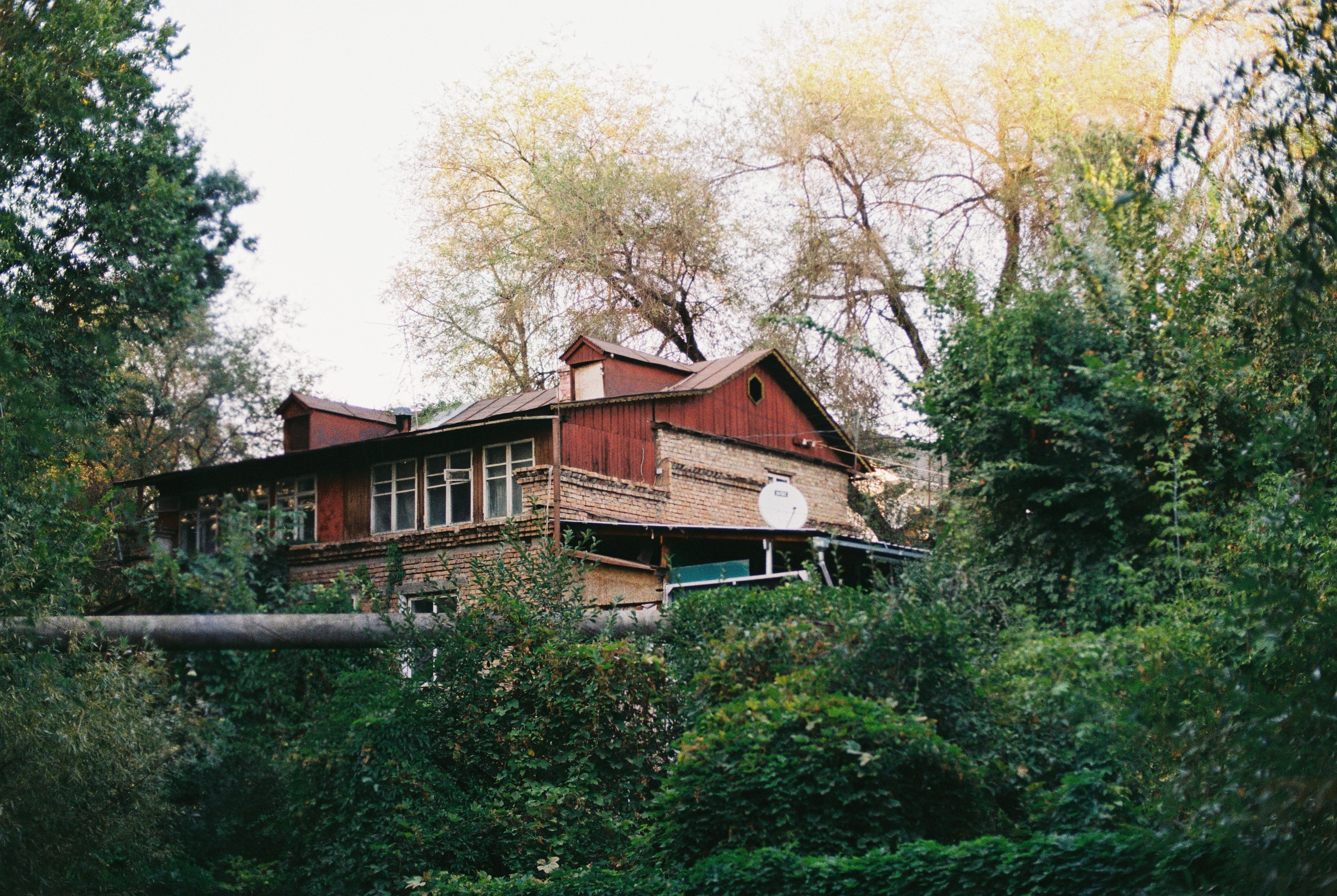 2025 — Путешествия на плёнку. Фотограф в Алматы — Алексей Коньков | Репортаж, свадьбы, портреты