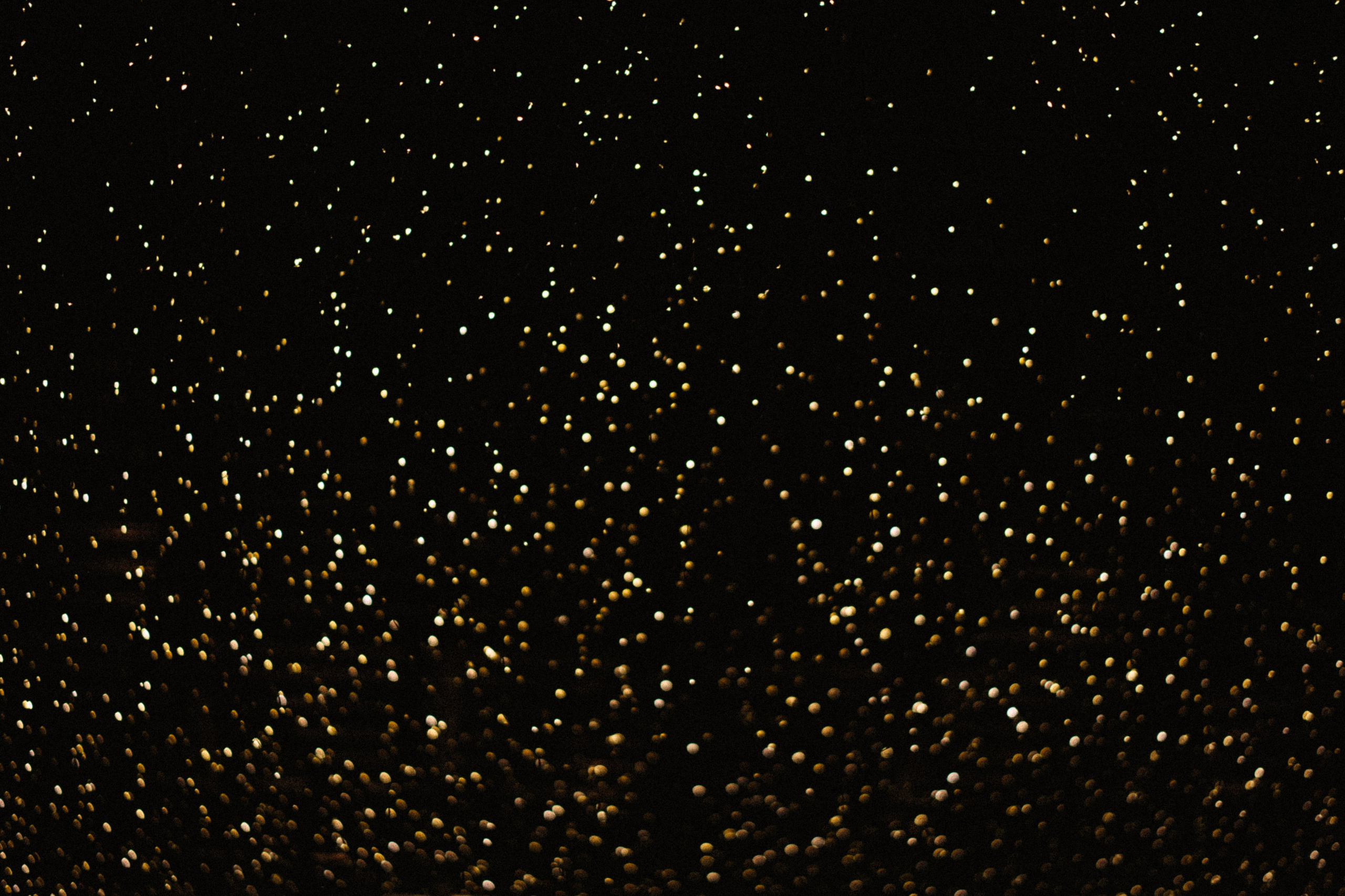 Прячься! Дождь идёт. Сочи. 2024. Никита Погосов