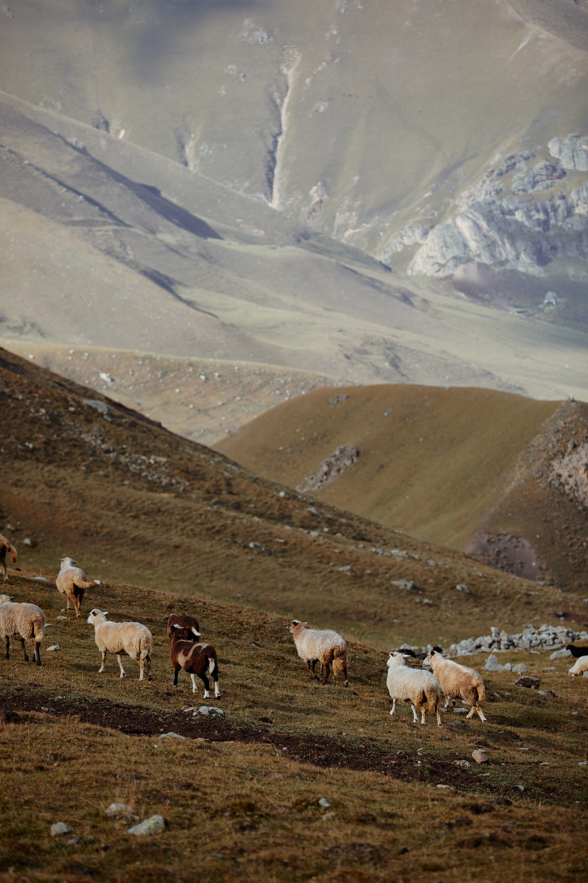 Озеро Гийбашкель. Фотограф Продюсер в горах КБР / Москва  Нальчик Горы