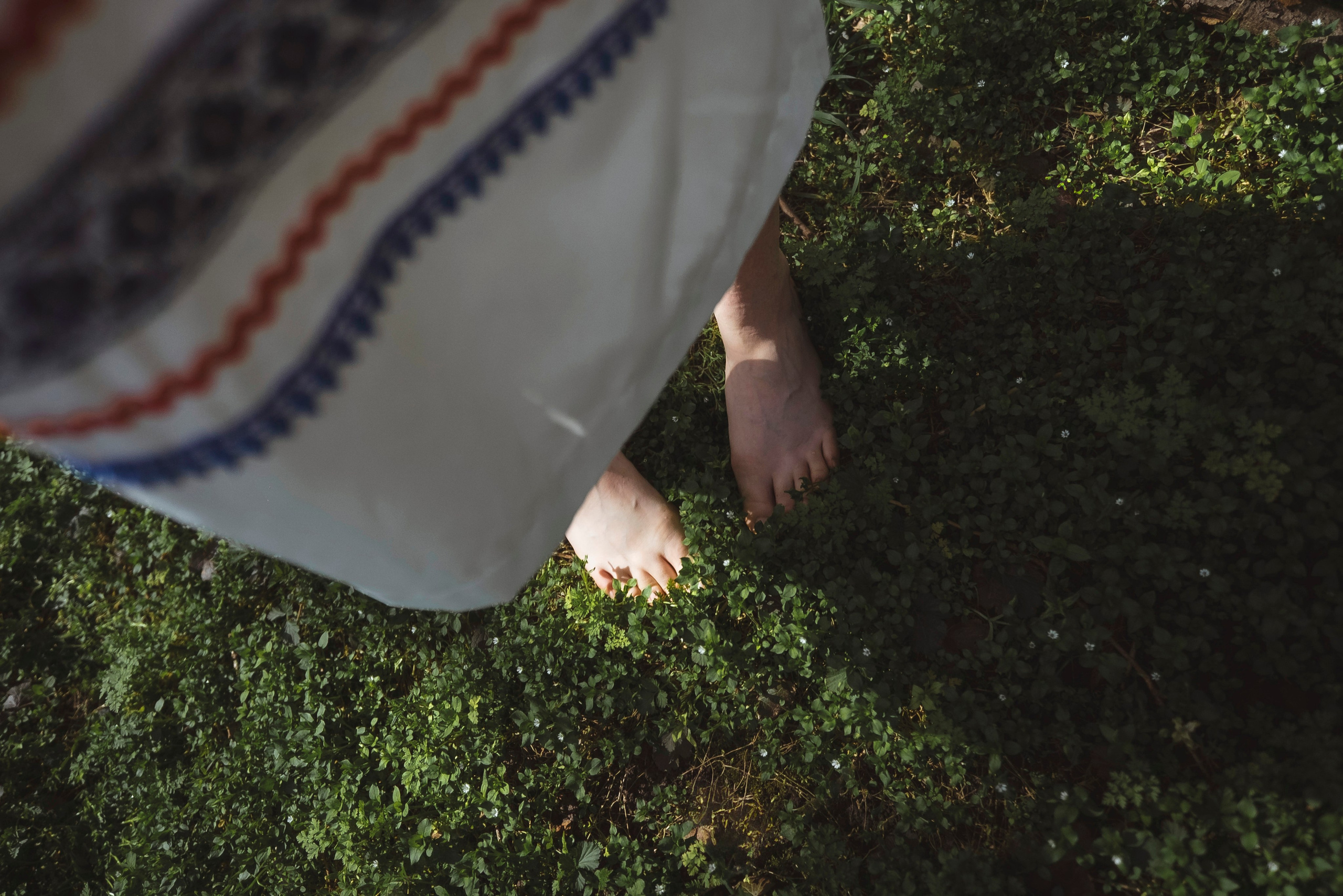 Зеленый остров. Главная