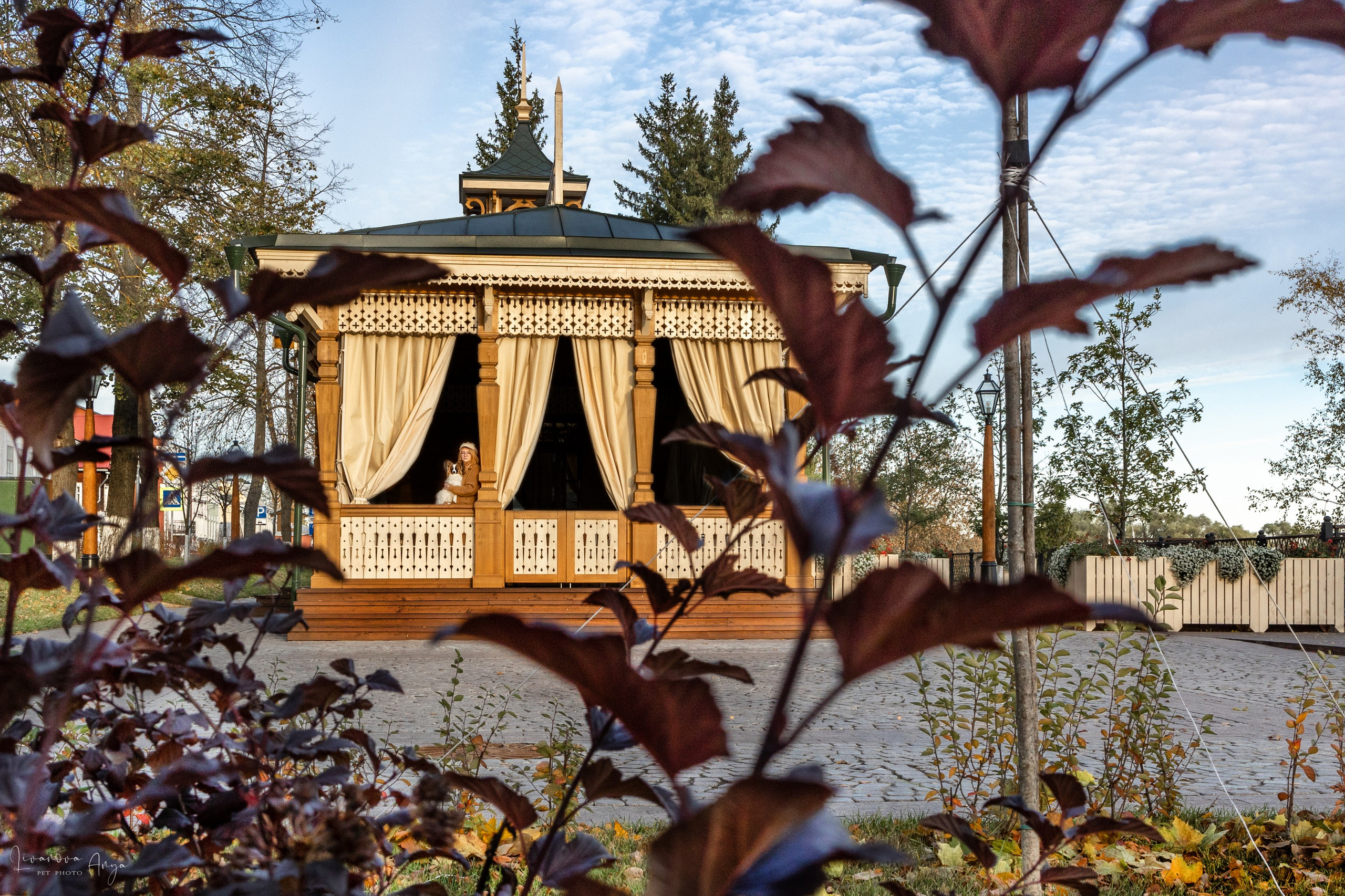 Хьюстон. Фотограф анималист Аня Ливанова | Рыбинск
