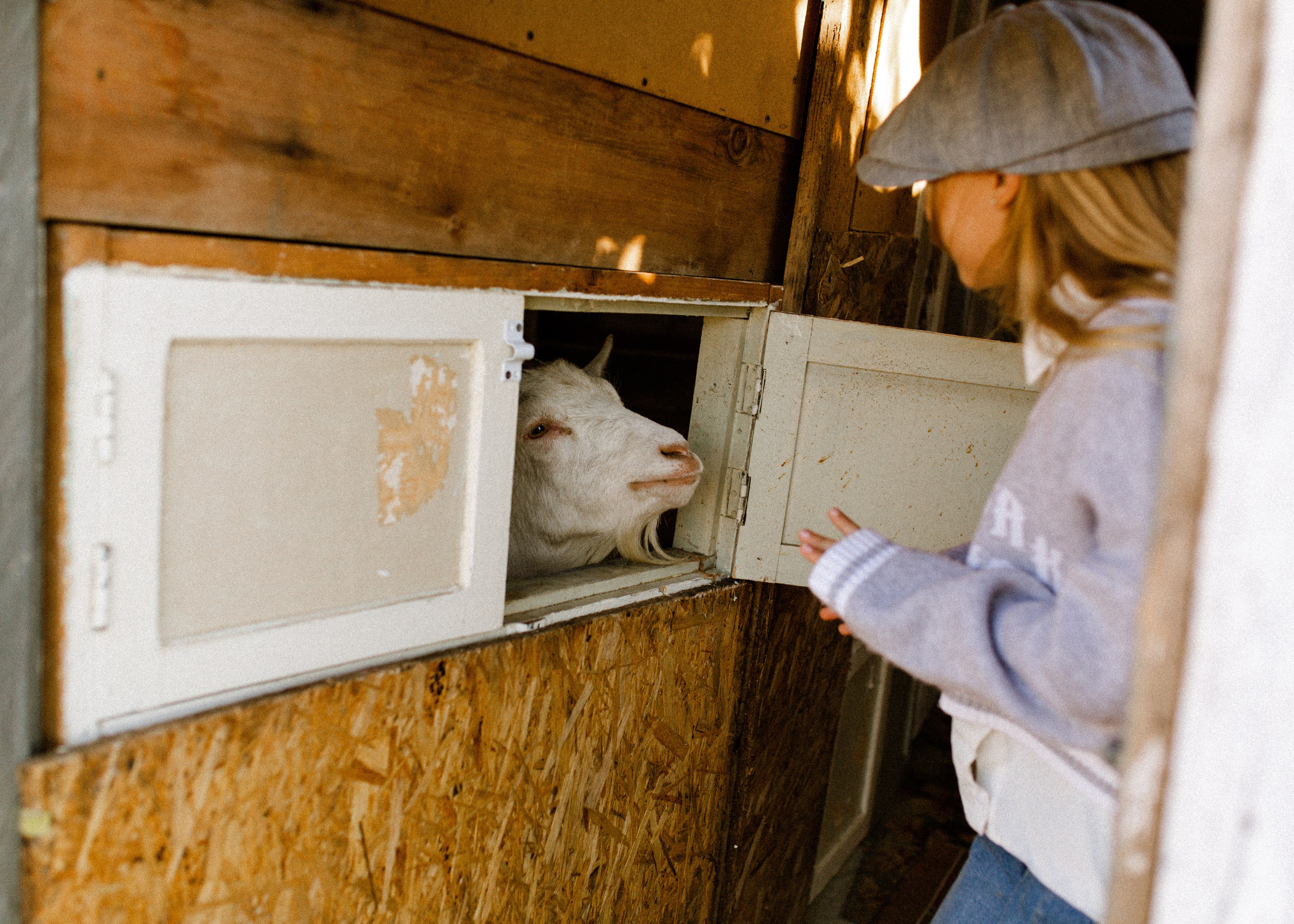 Осенний вайб Нелли. Фотограф в Приморско-Ахтарске Марьяна Чопко