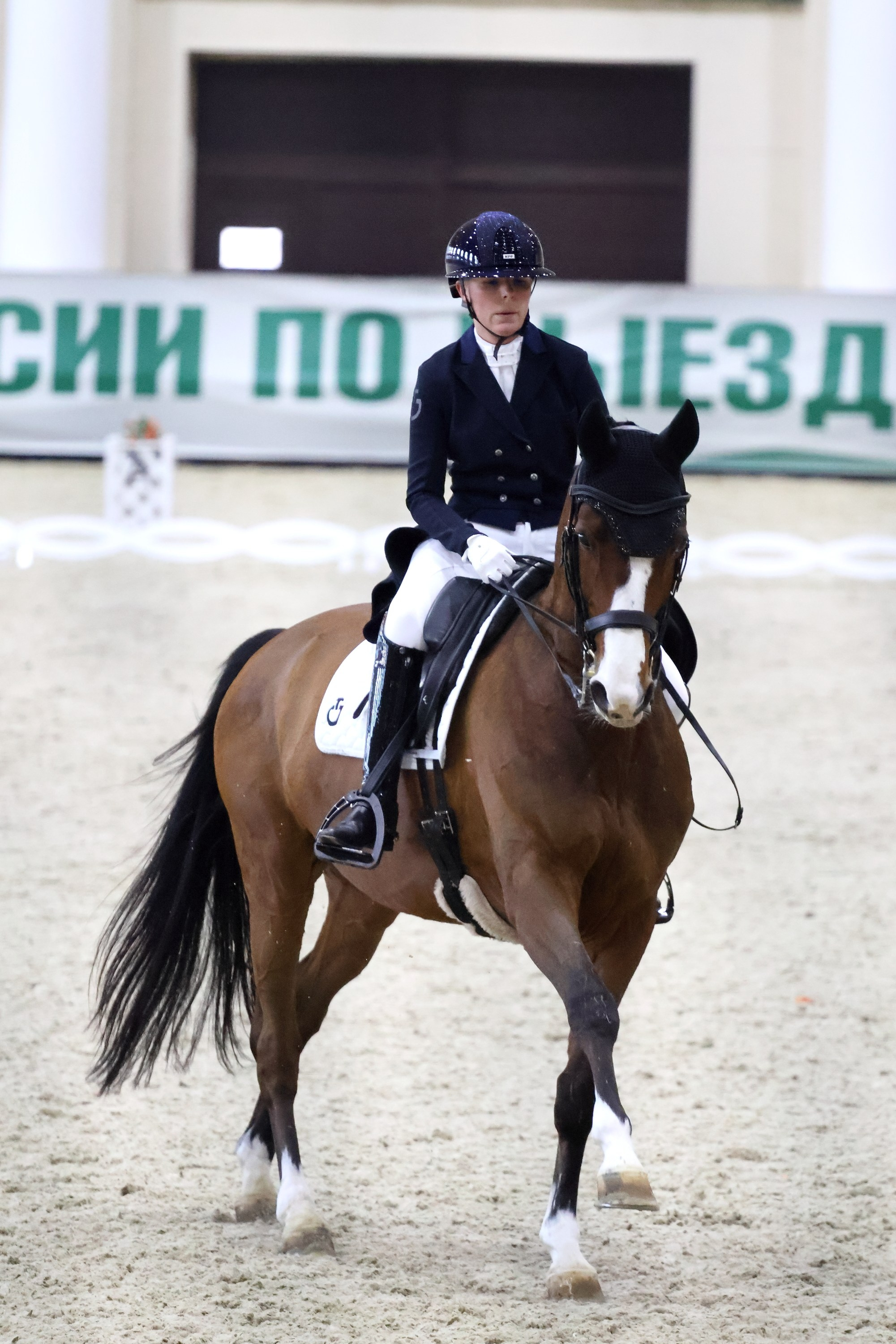 Соревнования по выездке КСК «Виват, Россия!». Спортивный и репортажный фотограф Ермакова Светлана