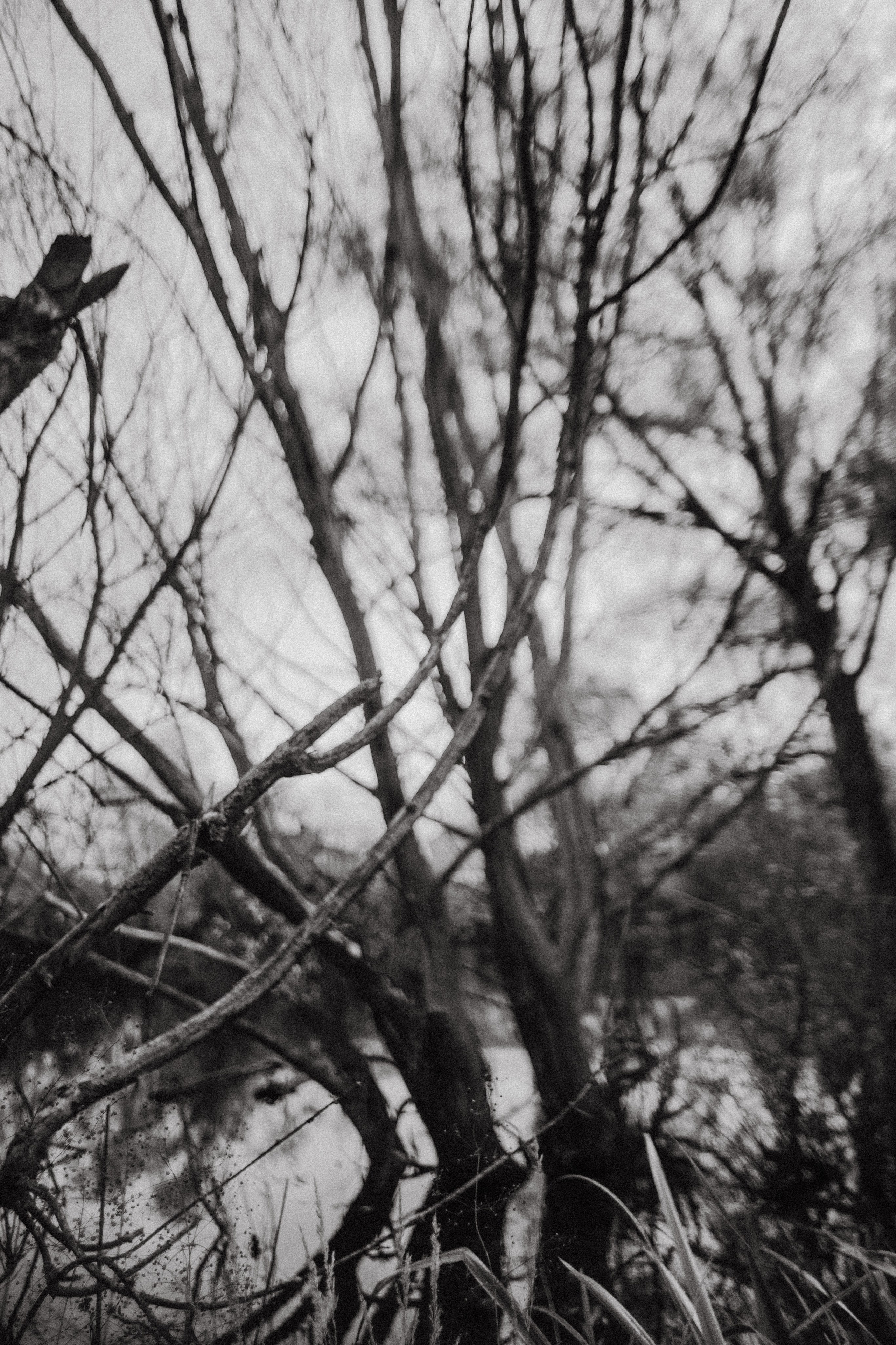 Ариадна. Фотограф в Нижнем Новгороде