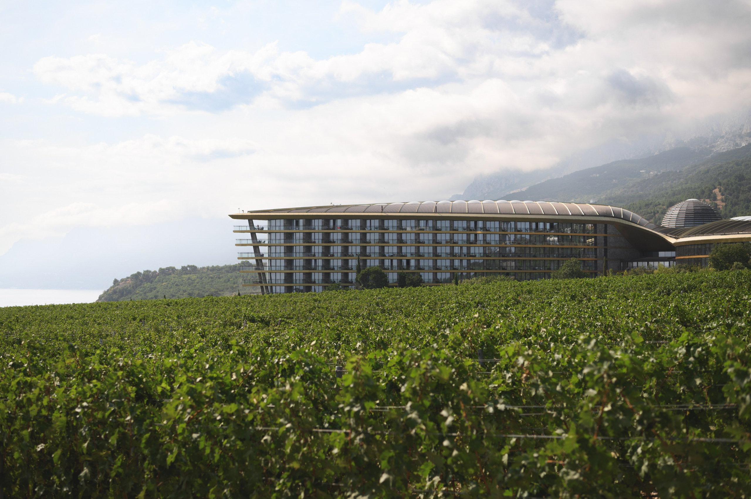 Каролина и Влад (Mriya Wine park). Свадебный фотограф. Крым и дальше!