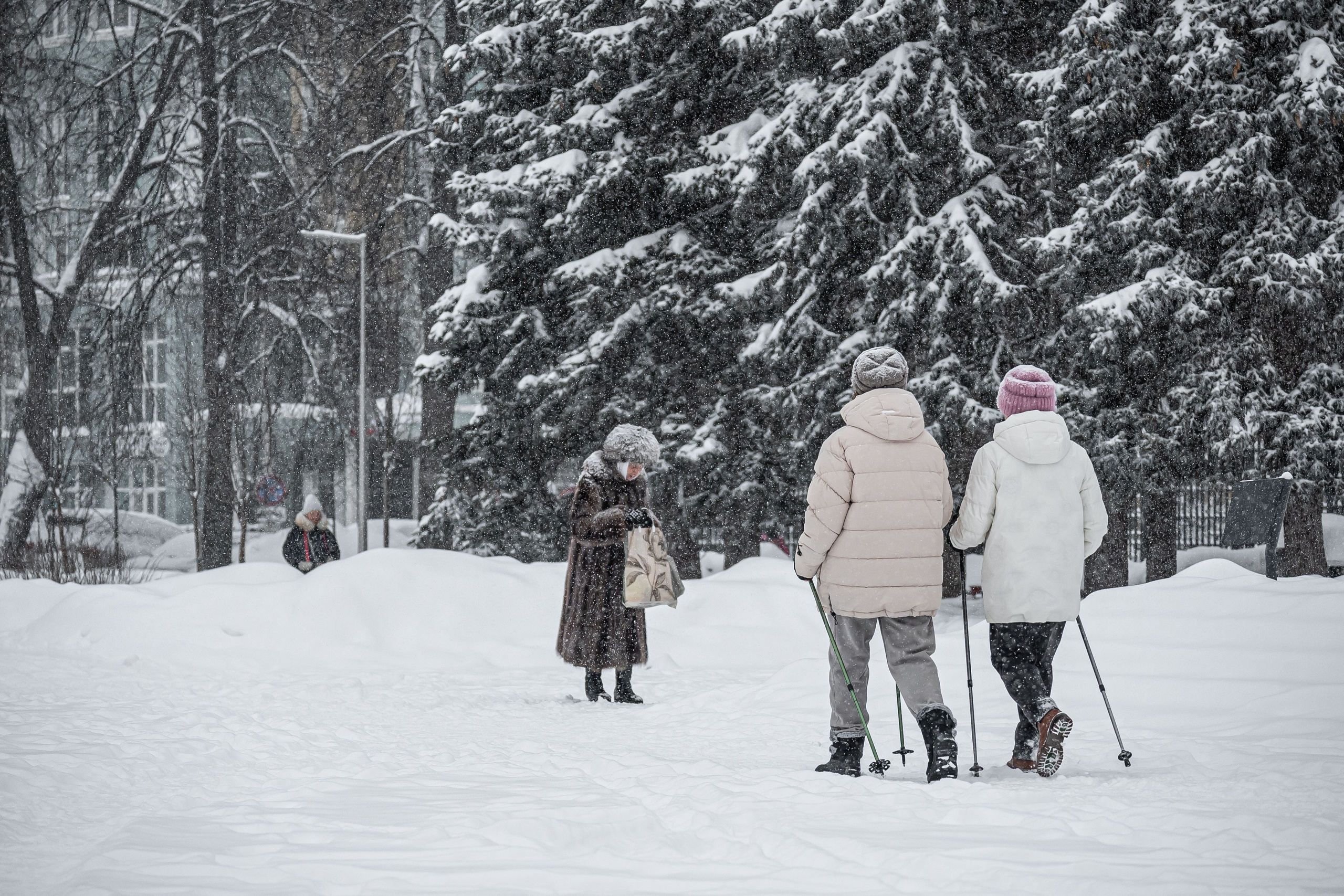 Снегопад. Репортажный фотограф