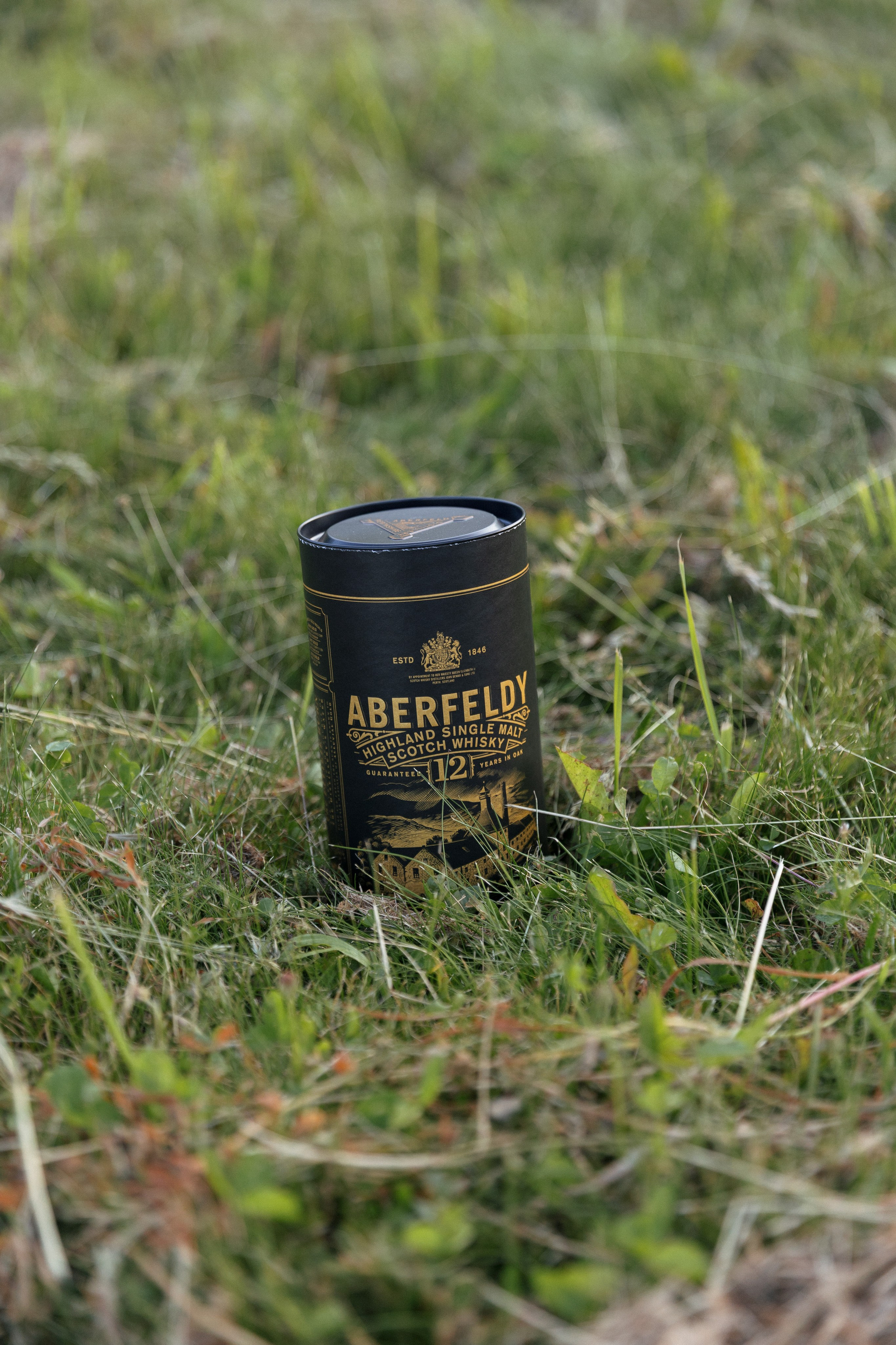 Евгений и Дарья. Свадебный и репортажный фотограф в Санкт-Петербурге Николай Голованов