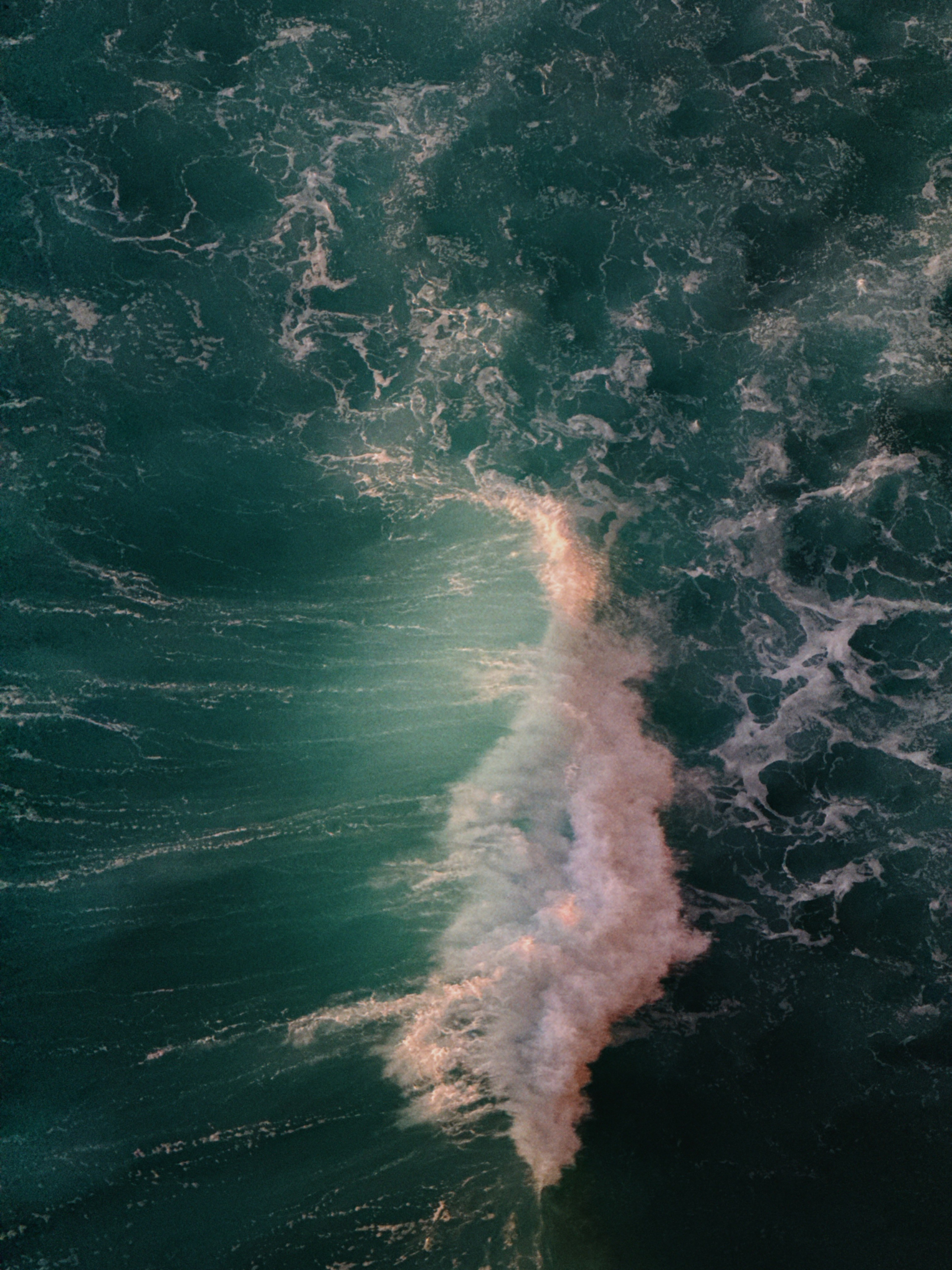 SUN. Виолетта Скрипка