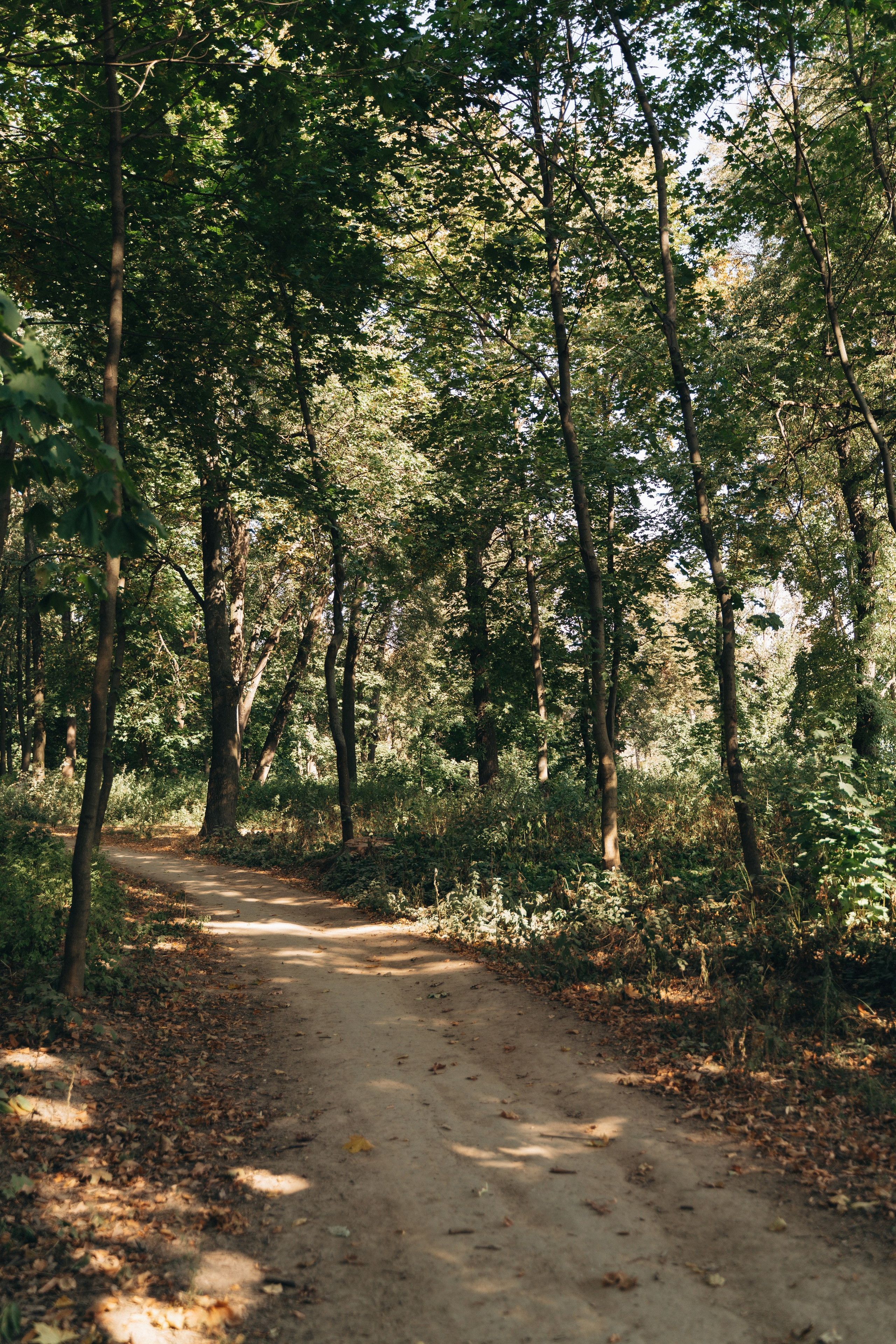 МАЙЯ🤍. FotoTanya. Раменское/Жуковский/Бронницы