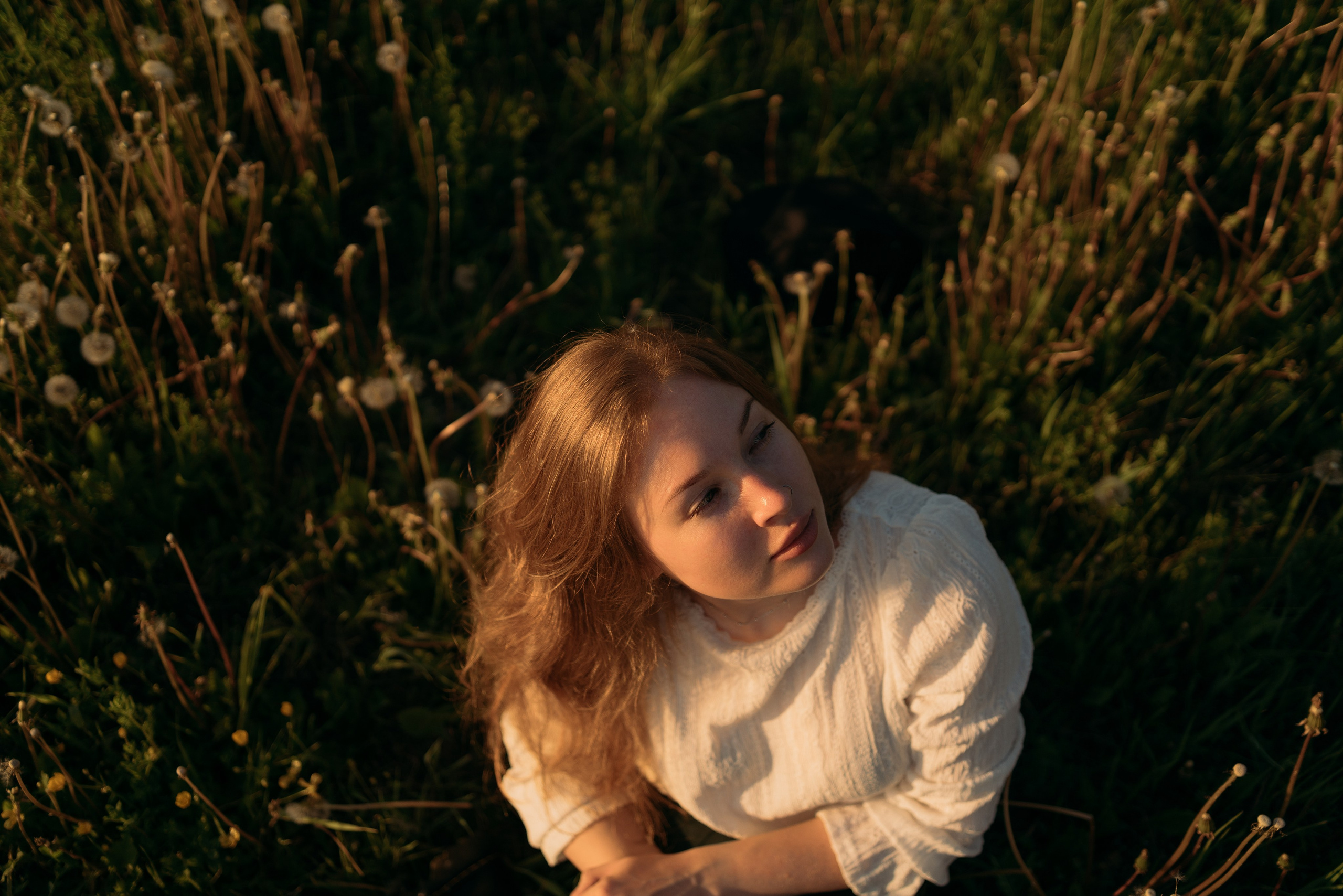 Одуванчики…. FotoTanya. Раменское/Жуковский/Бронницы