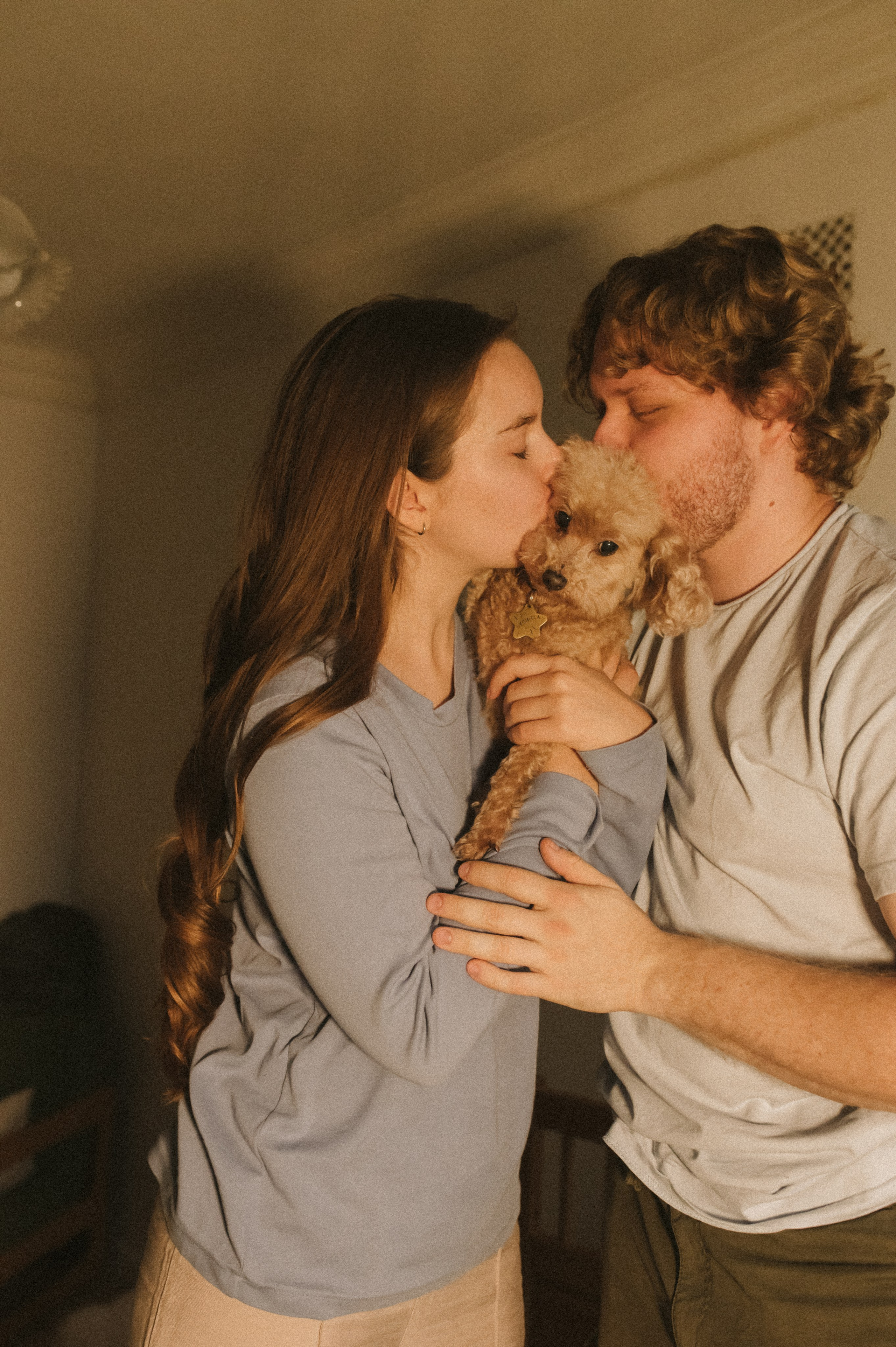 Ання и её кудрявая команда. Фотограф анималист в Москве Ольга Агушева