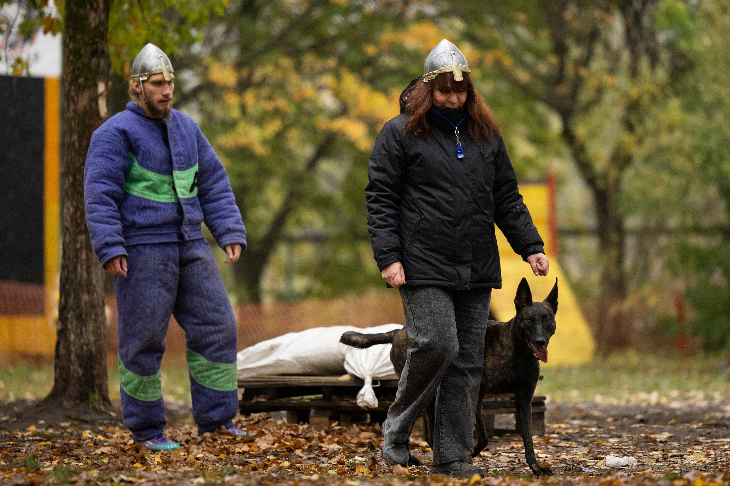 Соревнования по Мондьорингу г. Вологда. Фотограф-анималист Анна Маринич
