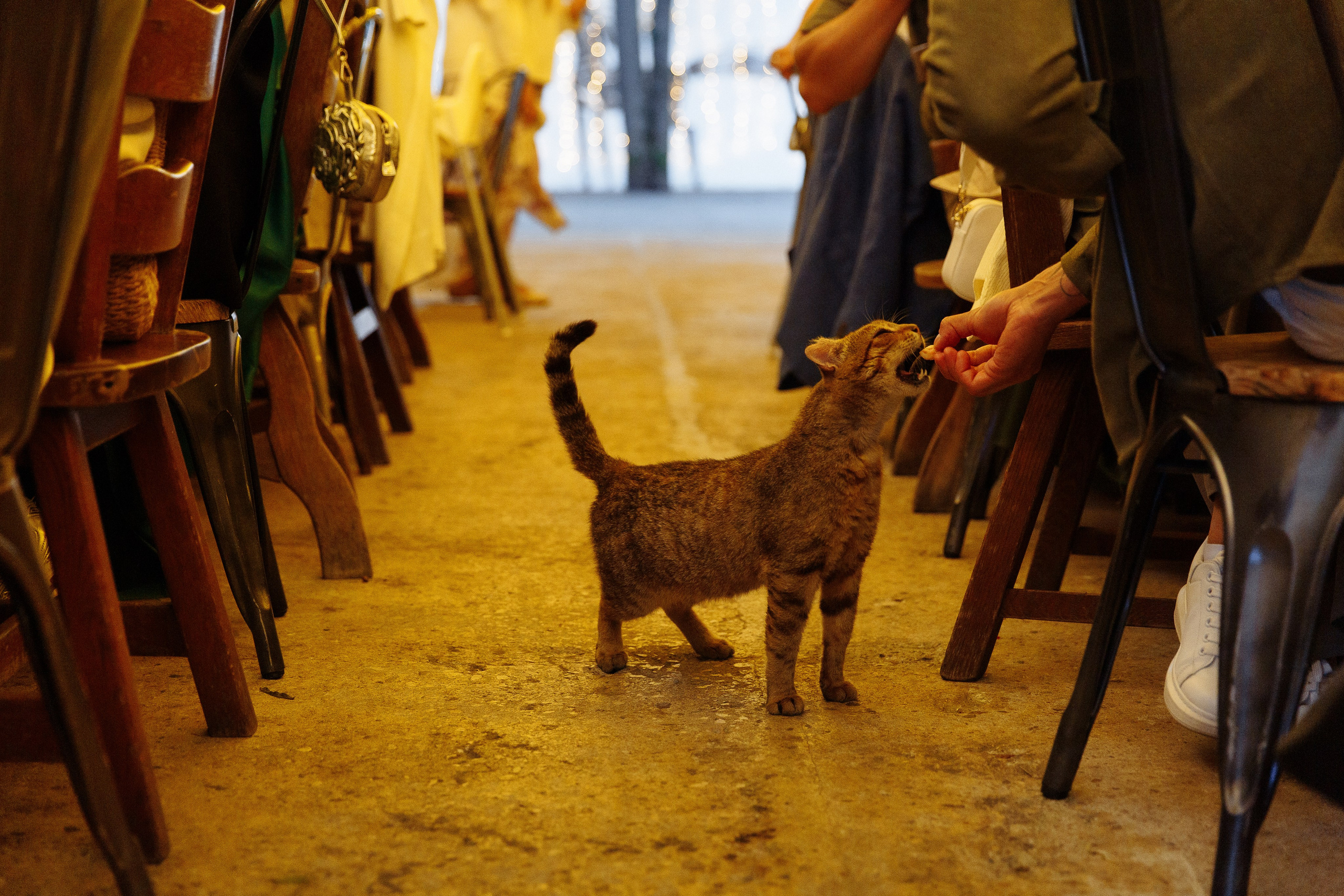 Свадьба Анны и Гио. Свадебный фотограф Юлия Логинова