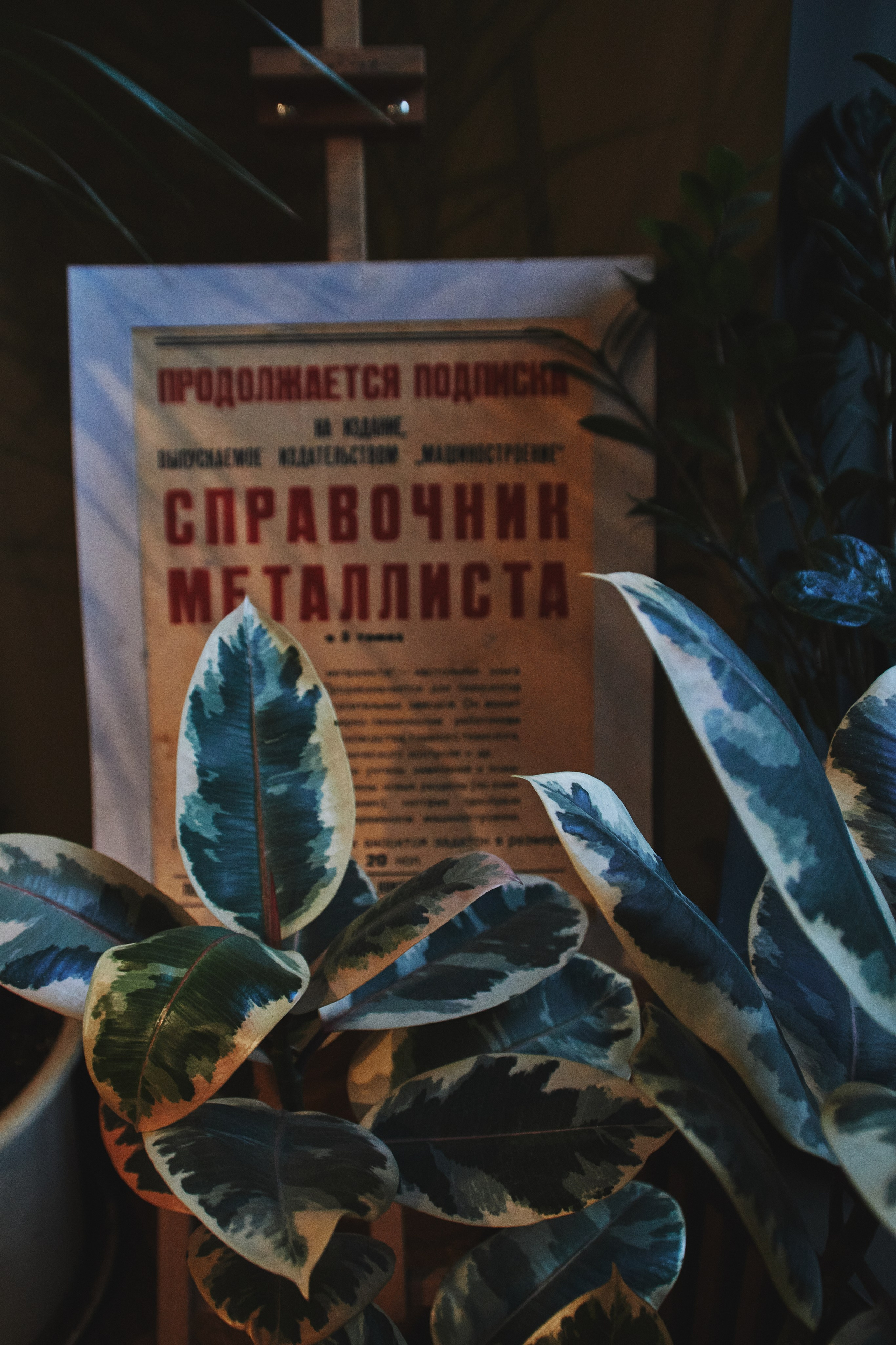 Питер. Фотограф Александр Рауш