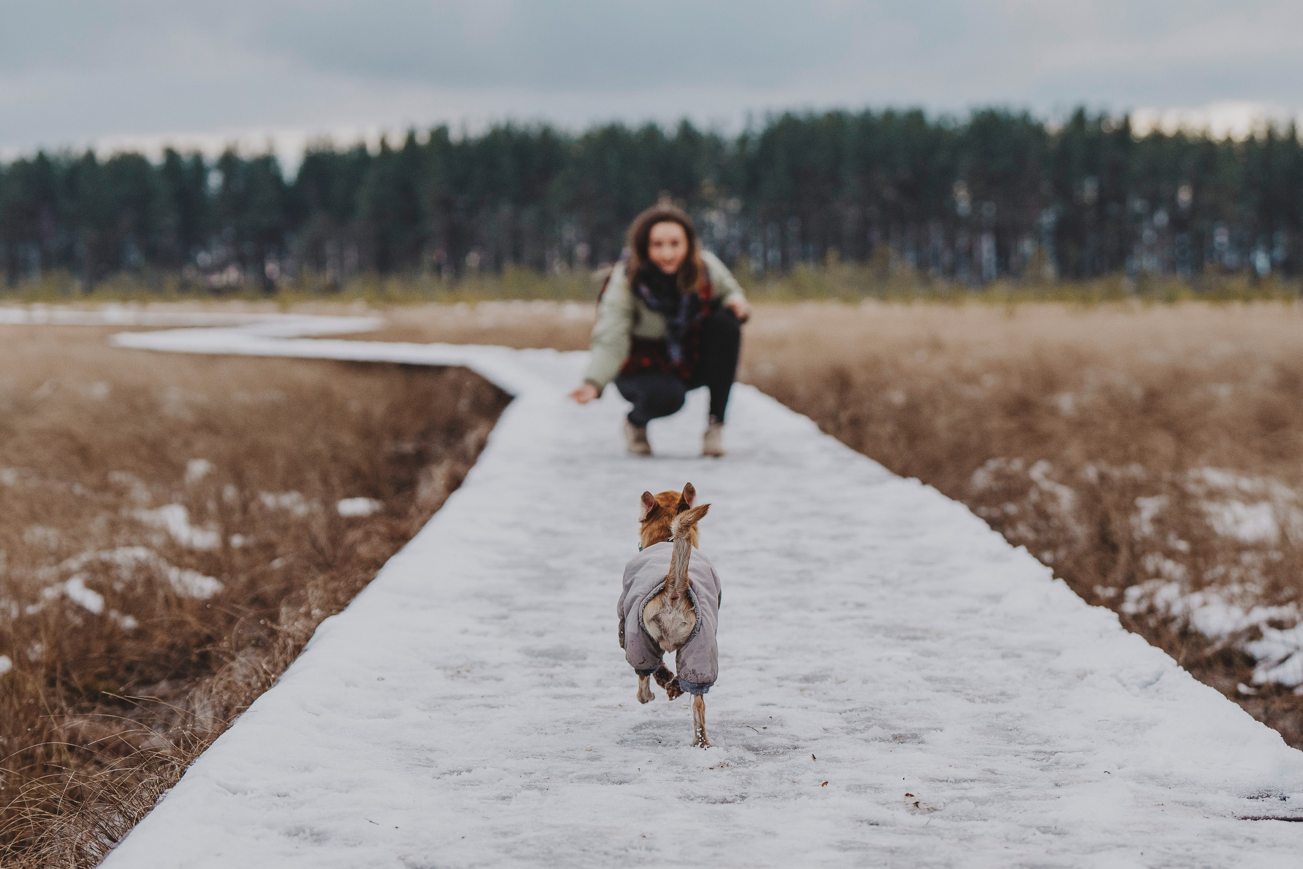 Наталия и Боря. Фотограф анималист в Спб недорого Олеся Майорова