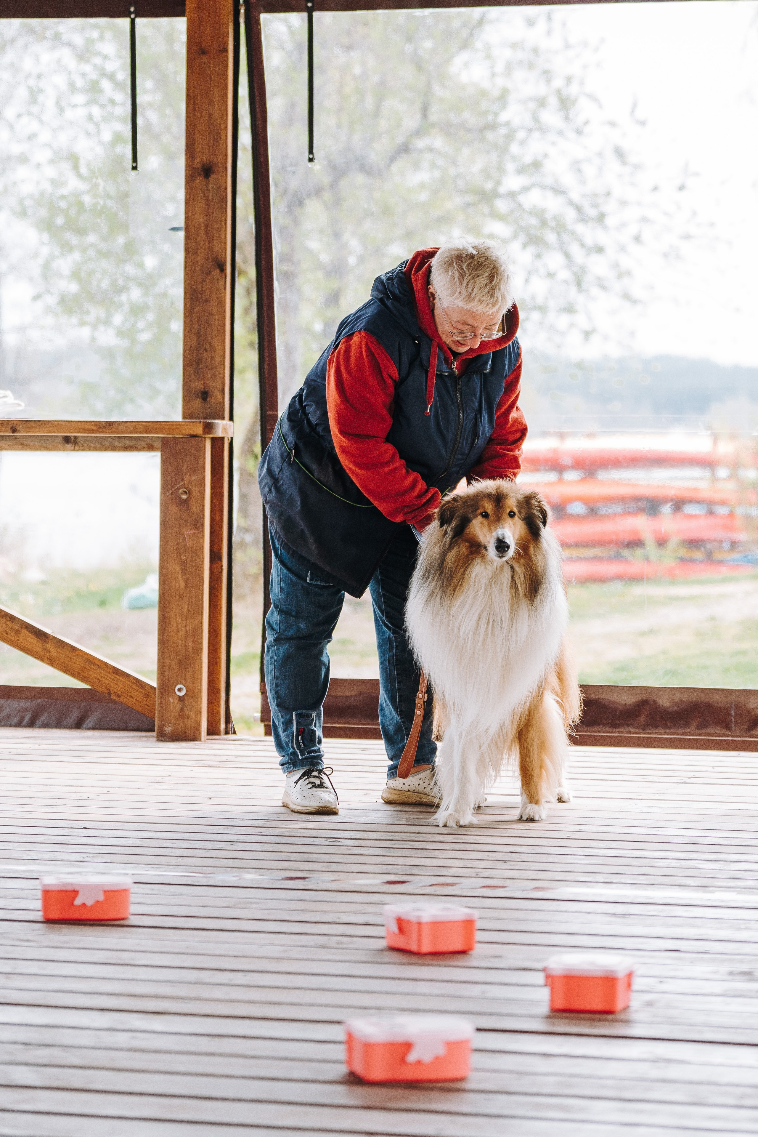 Соревнования по ноузворку в Лосево. Фотограф анималист в Спб недорого Олеся Майорова