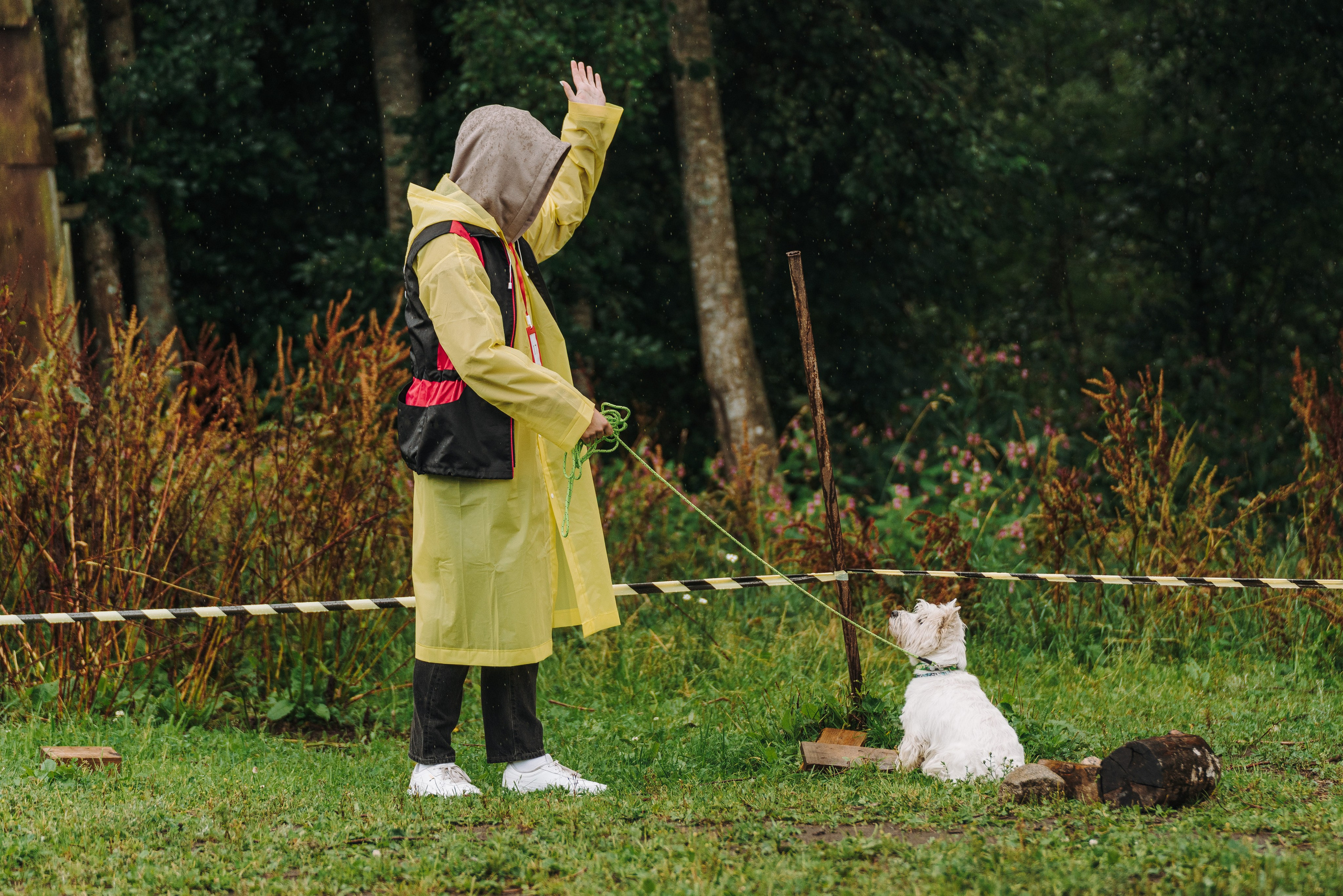 Соревнования по ноузворку в Новожилово. Фотограф анималист в Спб недорого Олеся Майорова
