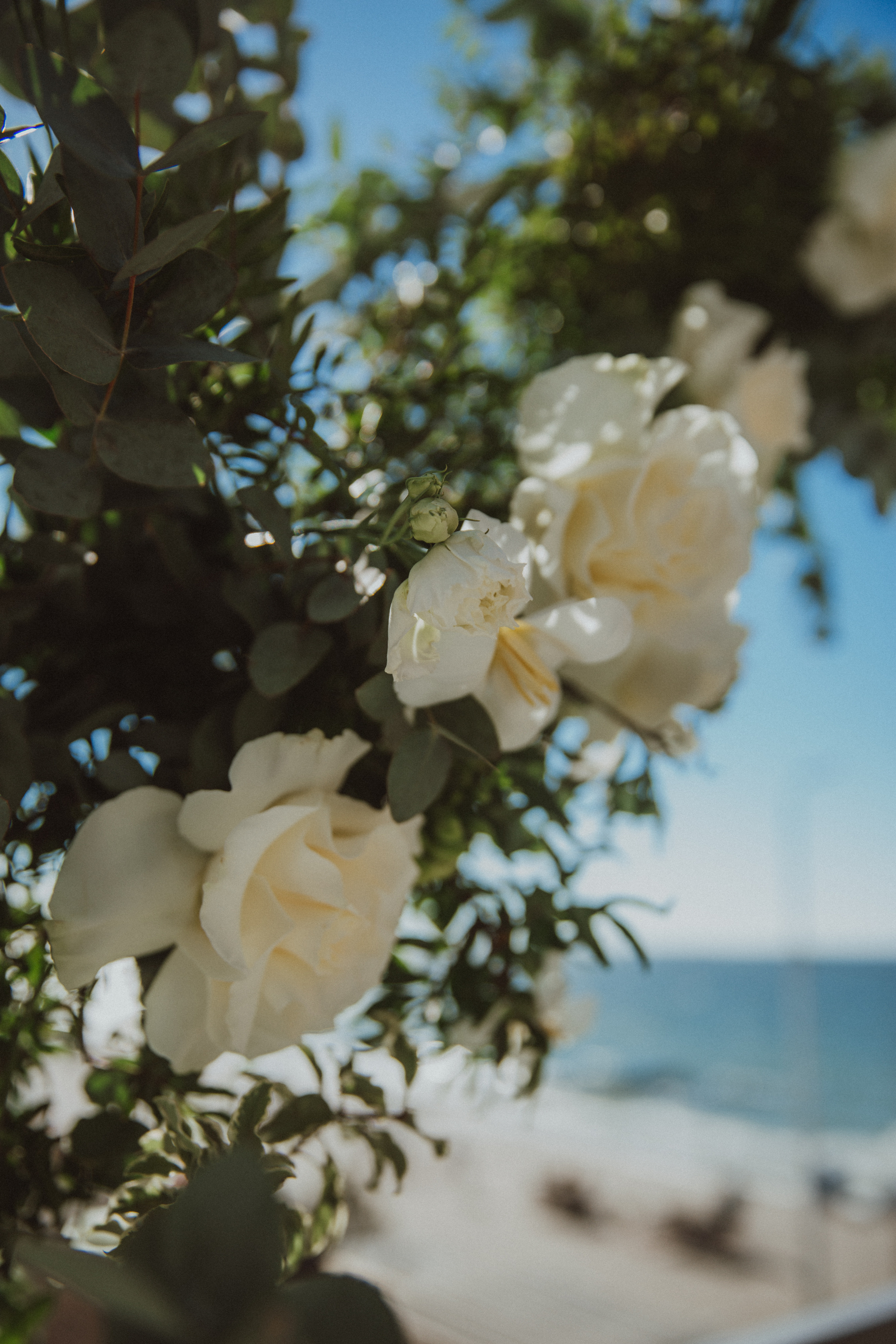 Свадьба на море Настя и Кирилл. Фотограф в Калининграде Дмитрий Мишин