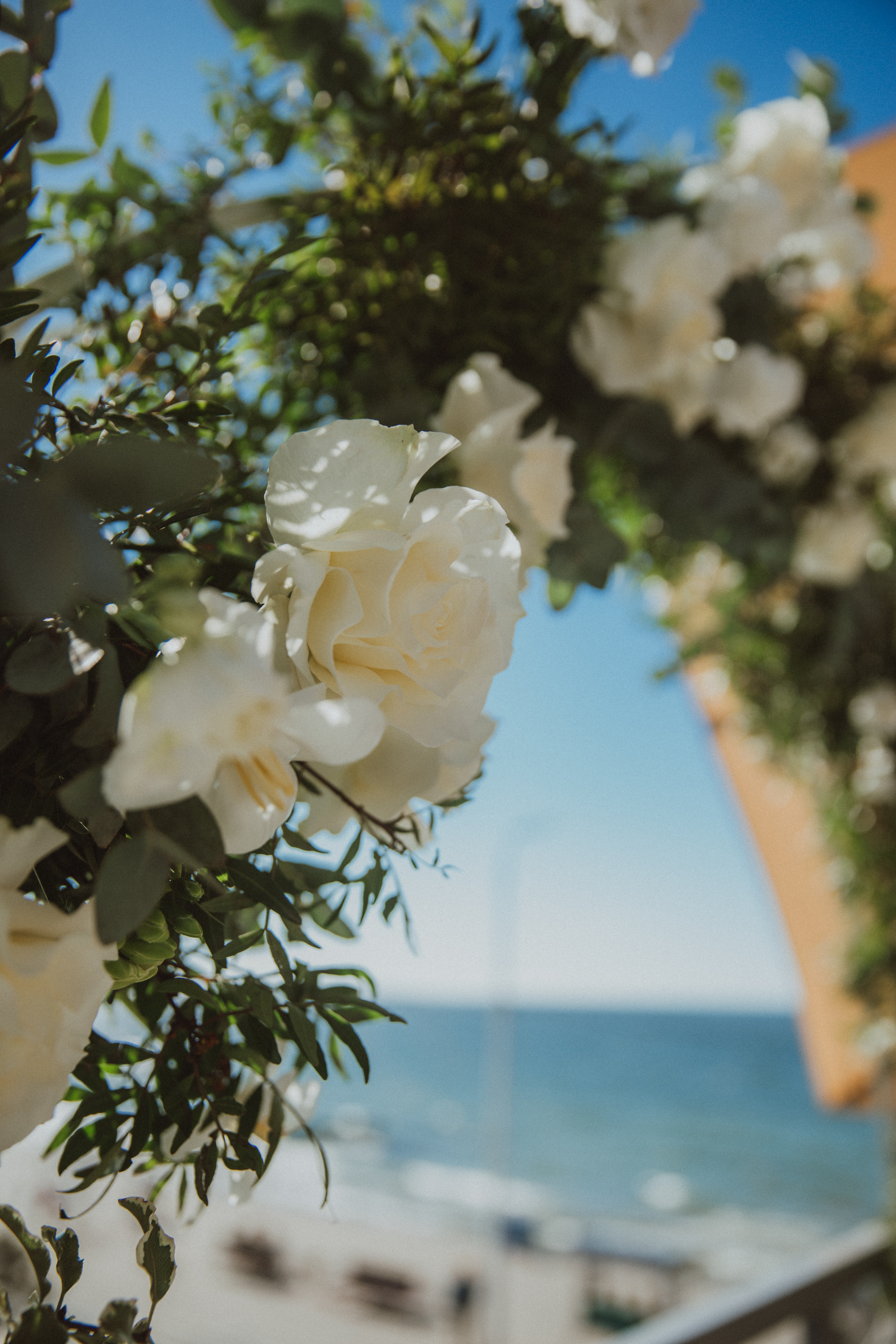 Свадьба на море Настя и Кирилл. Фотограф в Калининграде Дмитрий Мишин