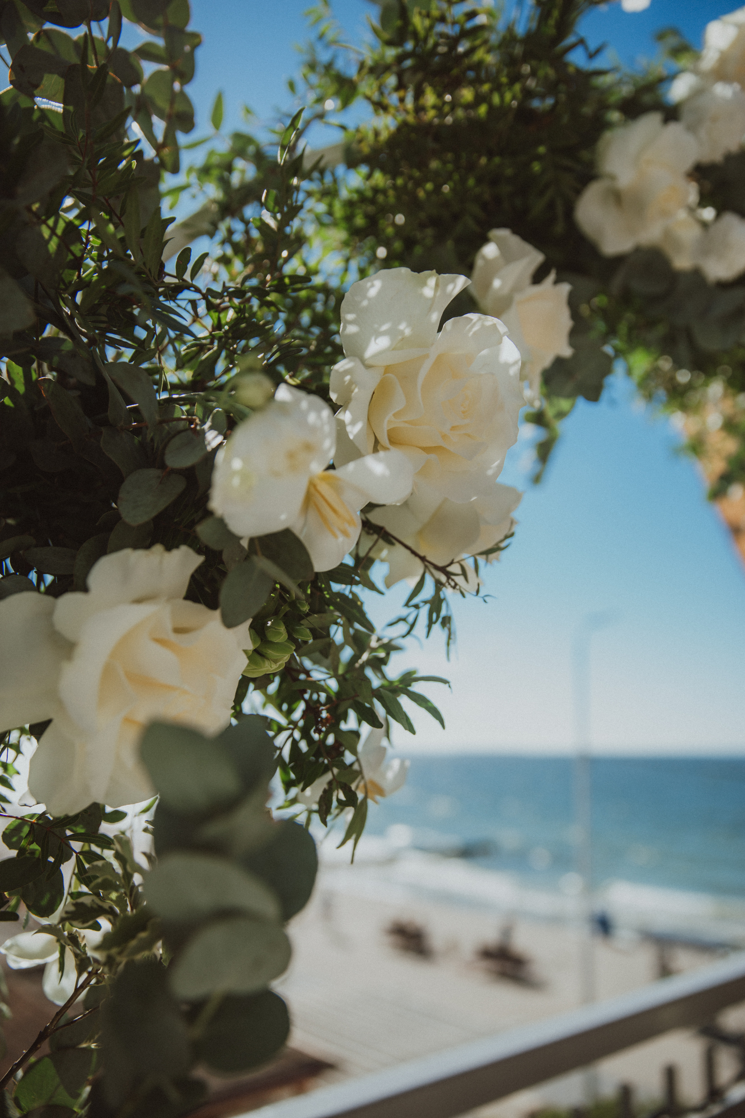 Свадьба на море Настя и Кирилл. Фотограф в Калининграде Дмитрий Мишин