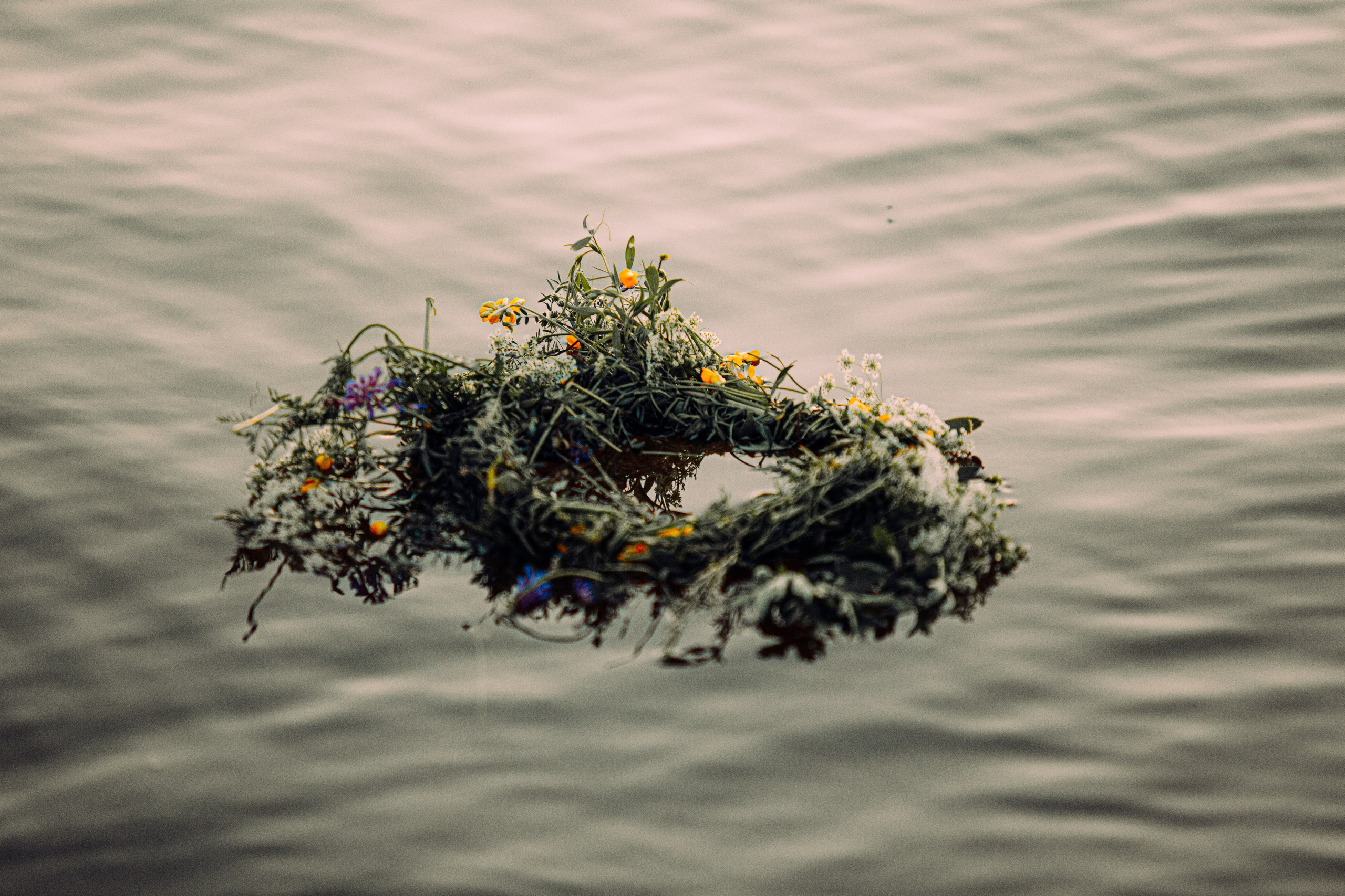 Ивана Купала на закате. Арт-фотограф Крис Л. в Тобольске: портрет, семейные, свадьбы