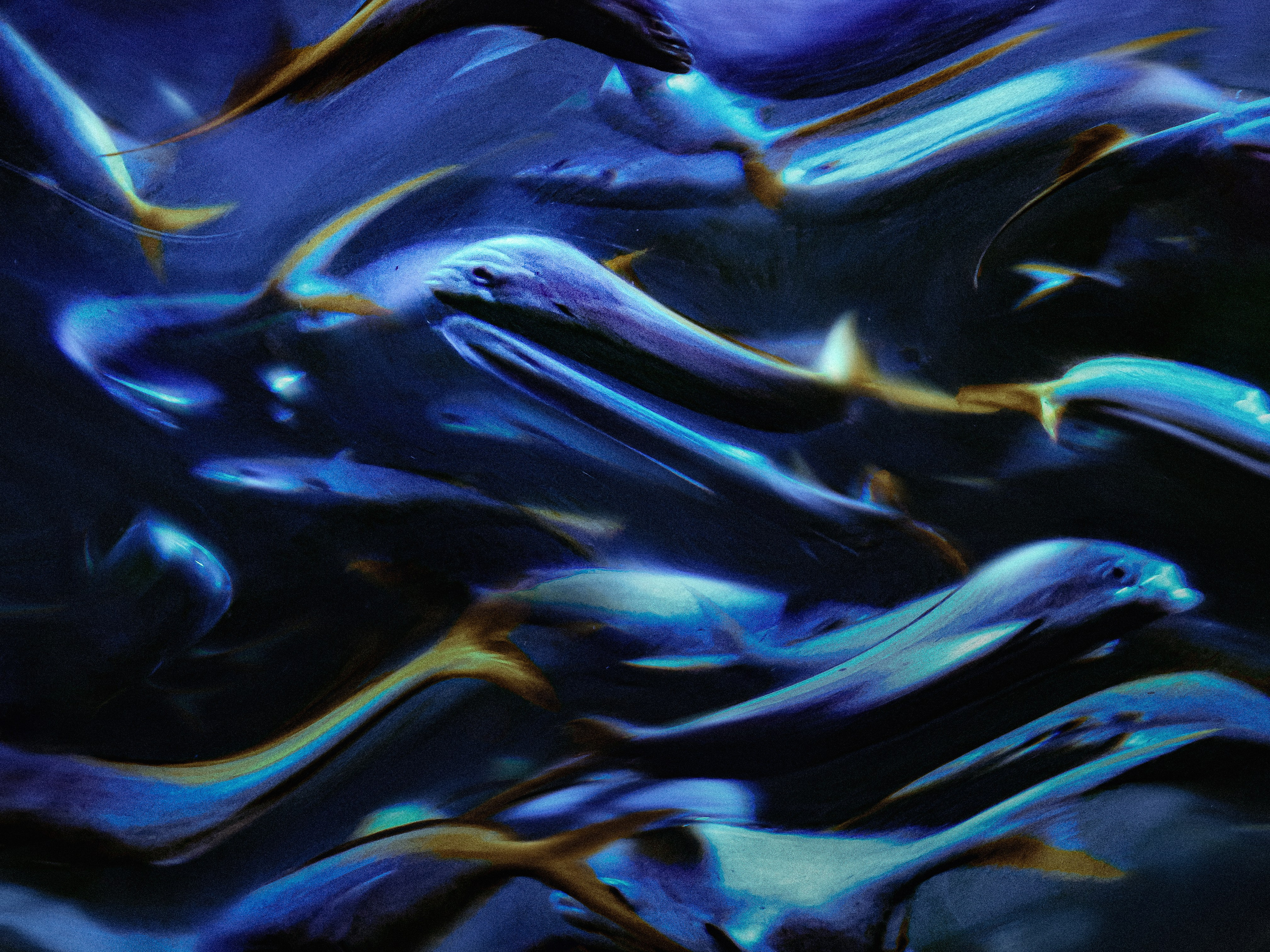 Работы вне серий — Сафонов Владислав. Сафонов Владислав, фотохудожник