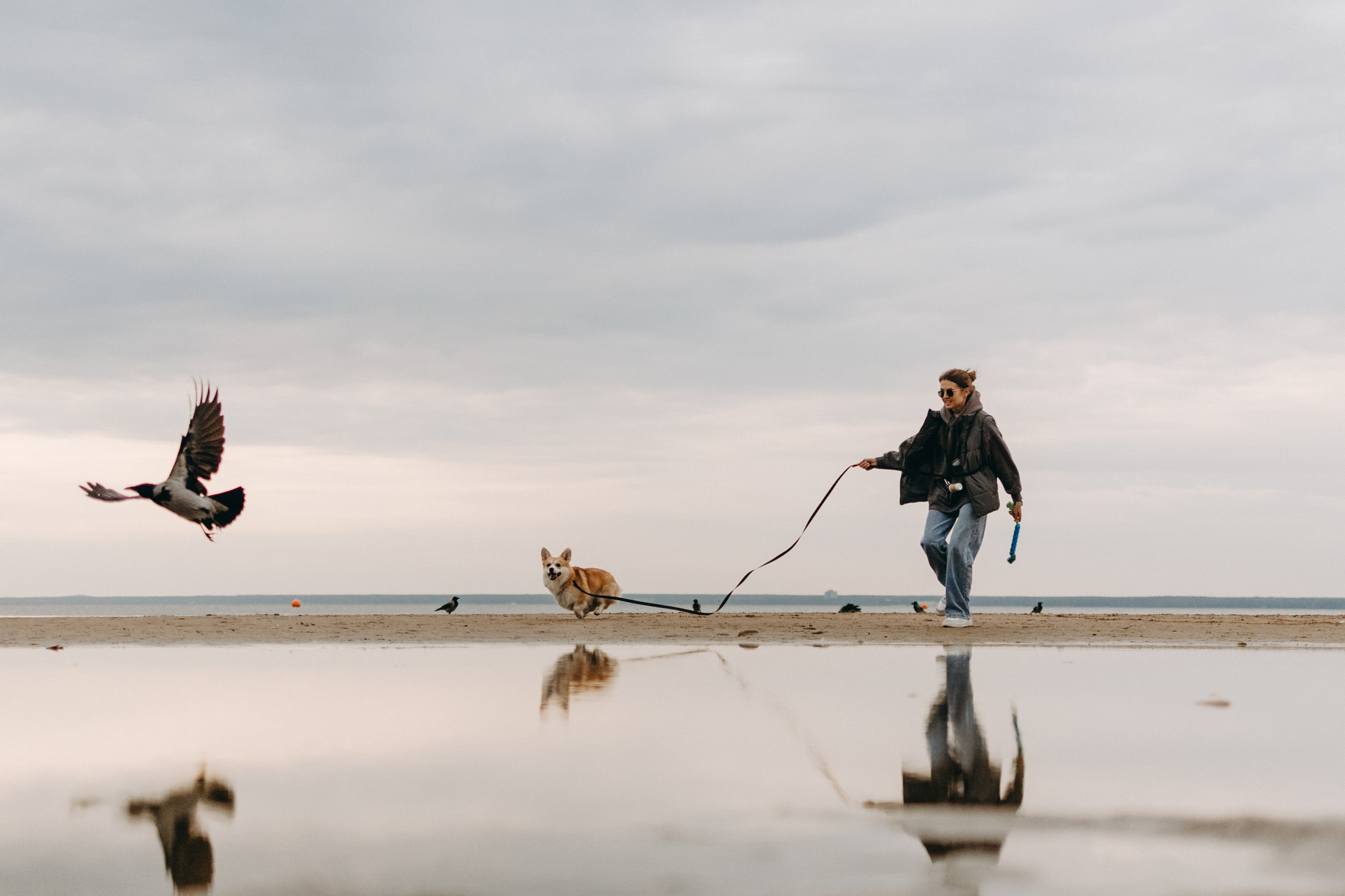 Лиза и Бакс. Фотограф — Анималист | Санкт-Петербург
