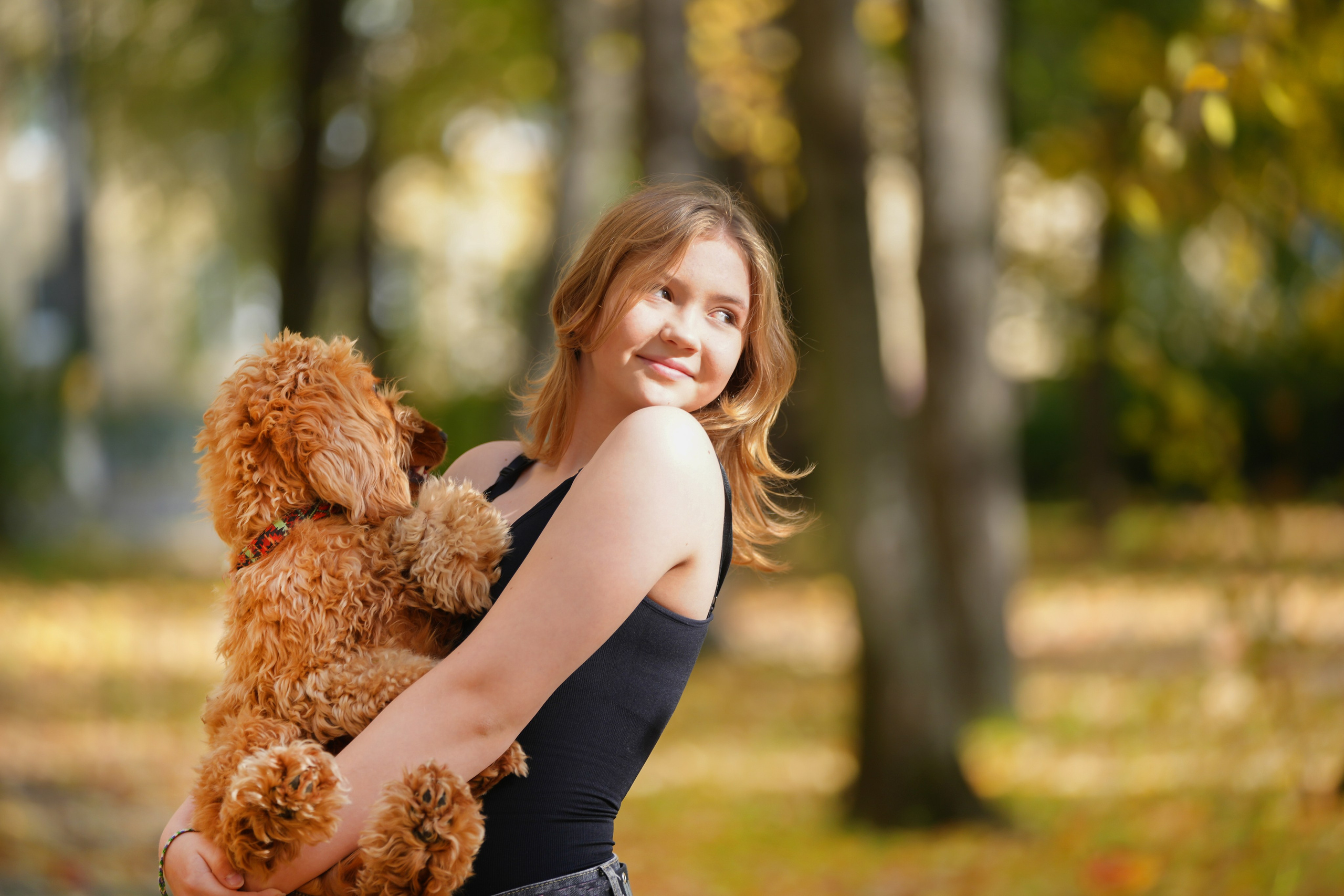 Спаниель. Фотосъемка детей с собакой. Фотосессия с собакой. Фотограф анималист. Лав-стори