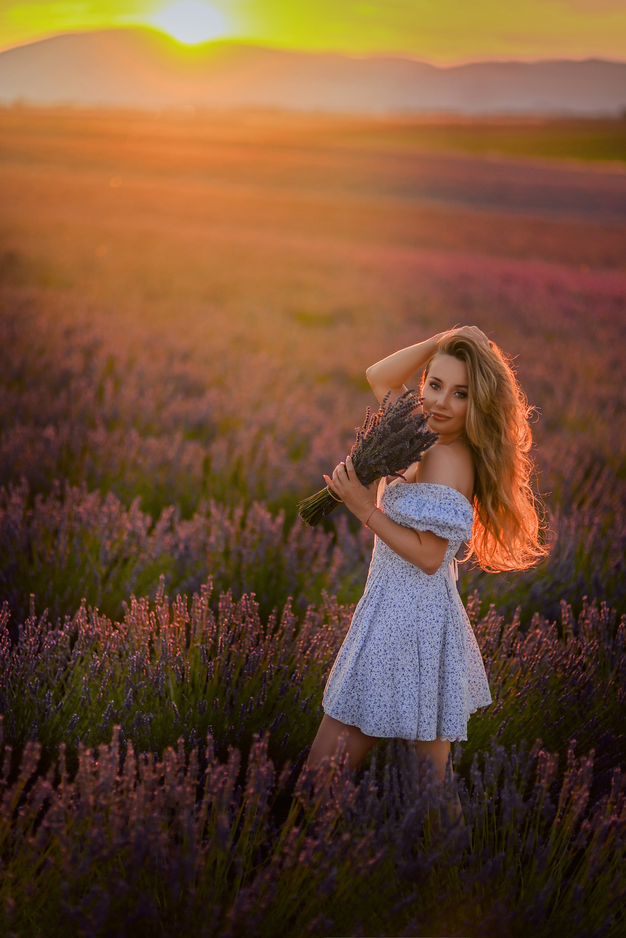 Lavender. Photographer in Provence Julia Lipiainen