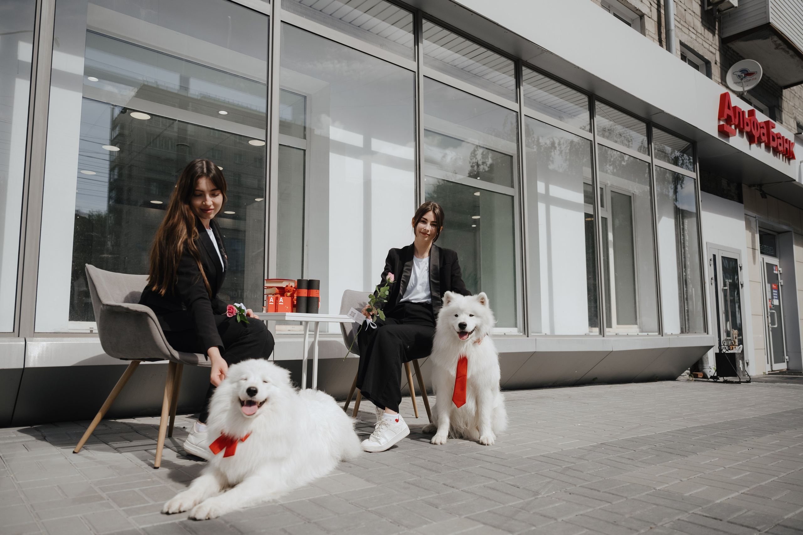 Альфа банк Карла Маркса 55. Фотограф Кристина Тумаева. Самоед Новосибирск