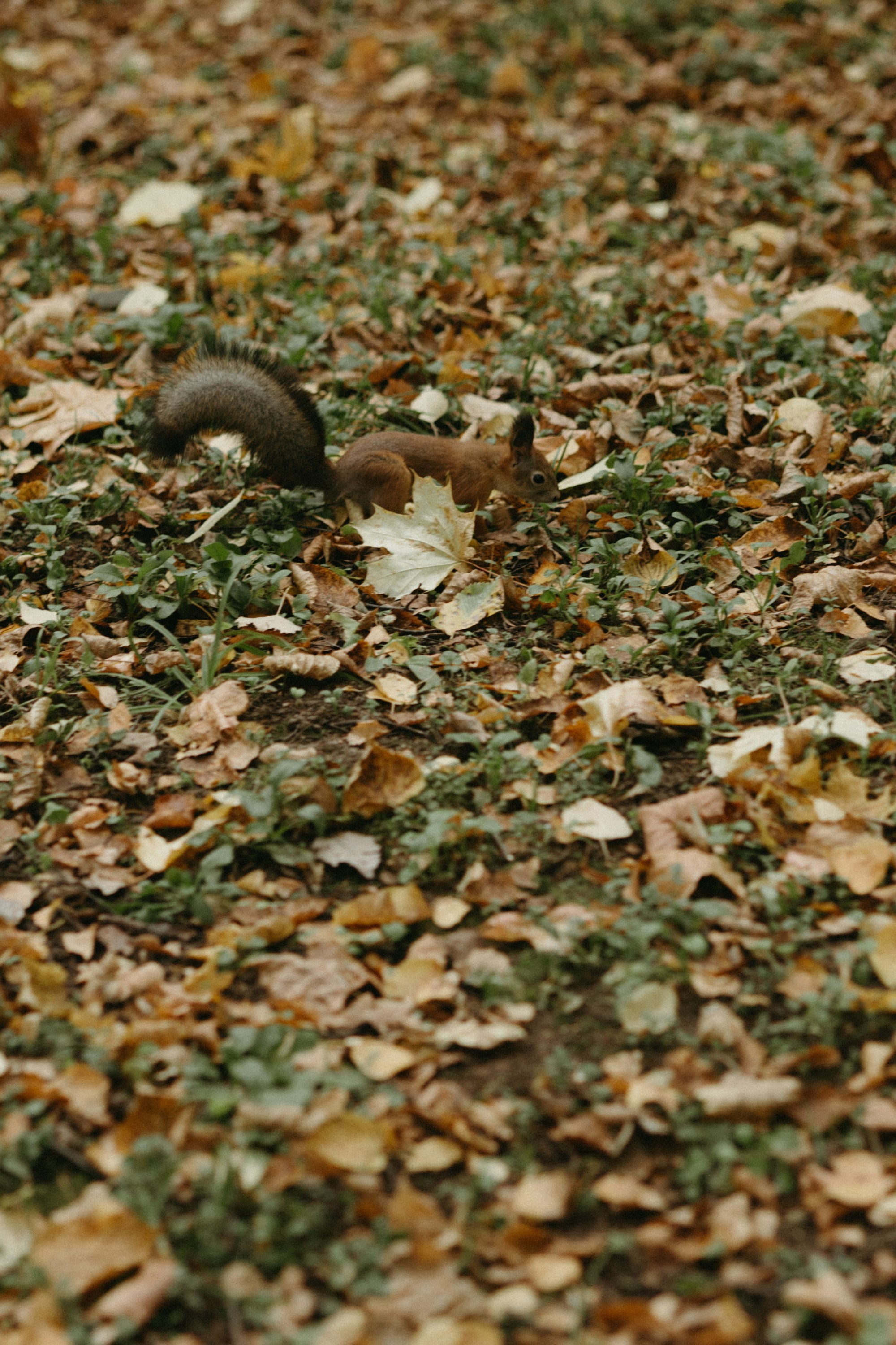 Наташа и Константин. Про любовь
