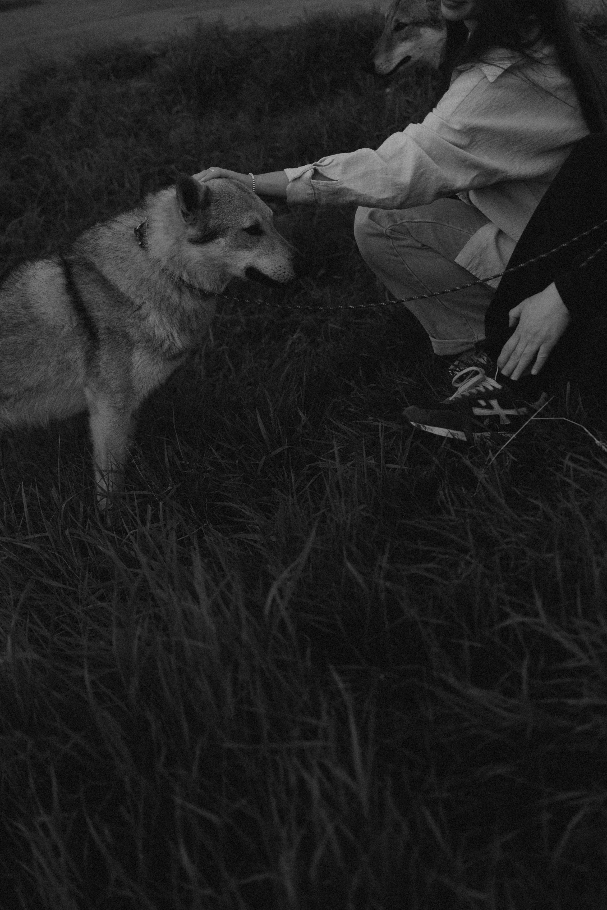 Аня и ее семья. Фотораф — анималист Мария Шистка