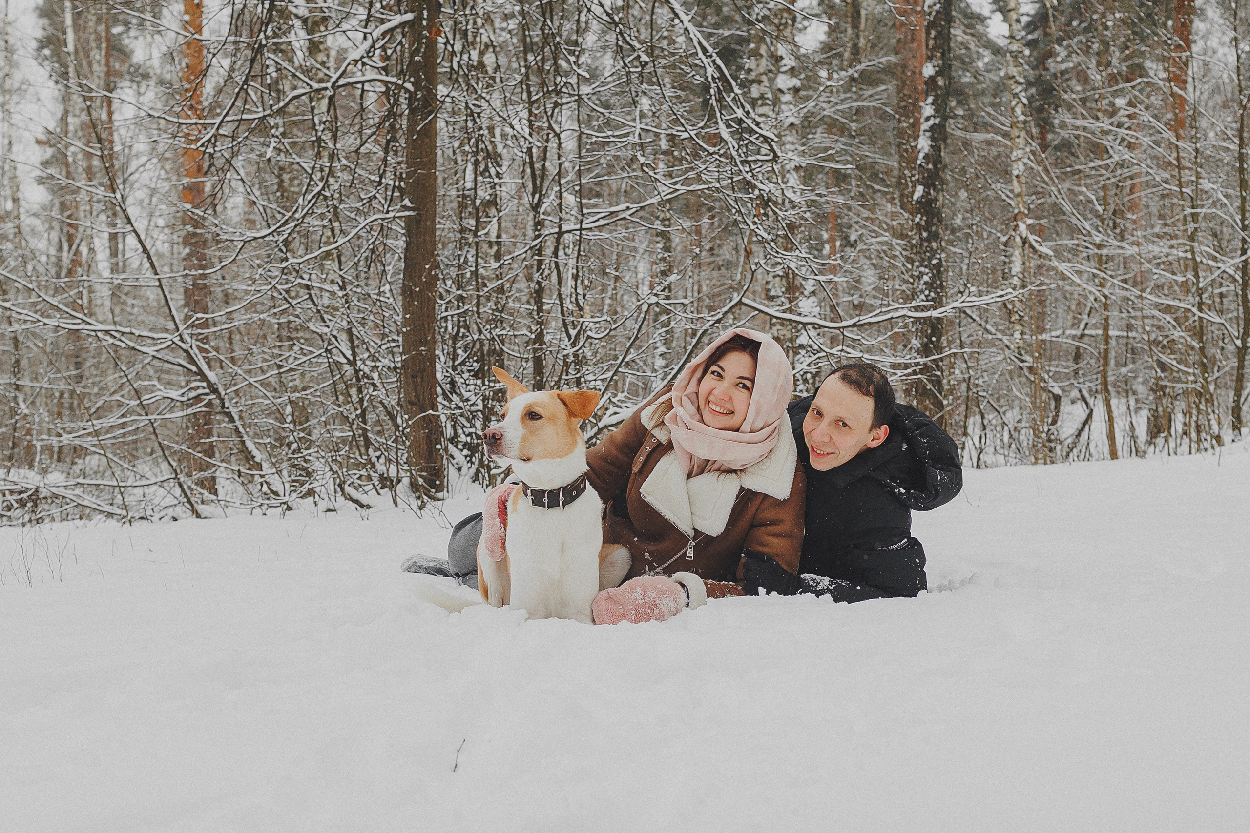 Зимняя фотосессия в лесу с собакой. Фотограф в Москве и Люберцах Анна Ушакова