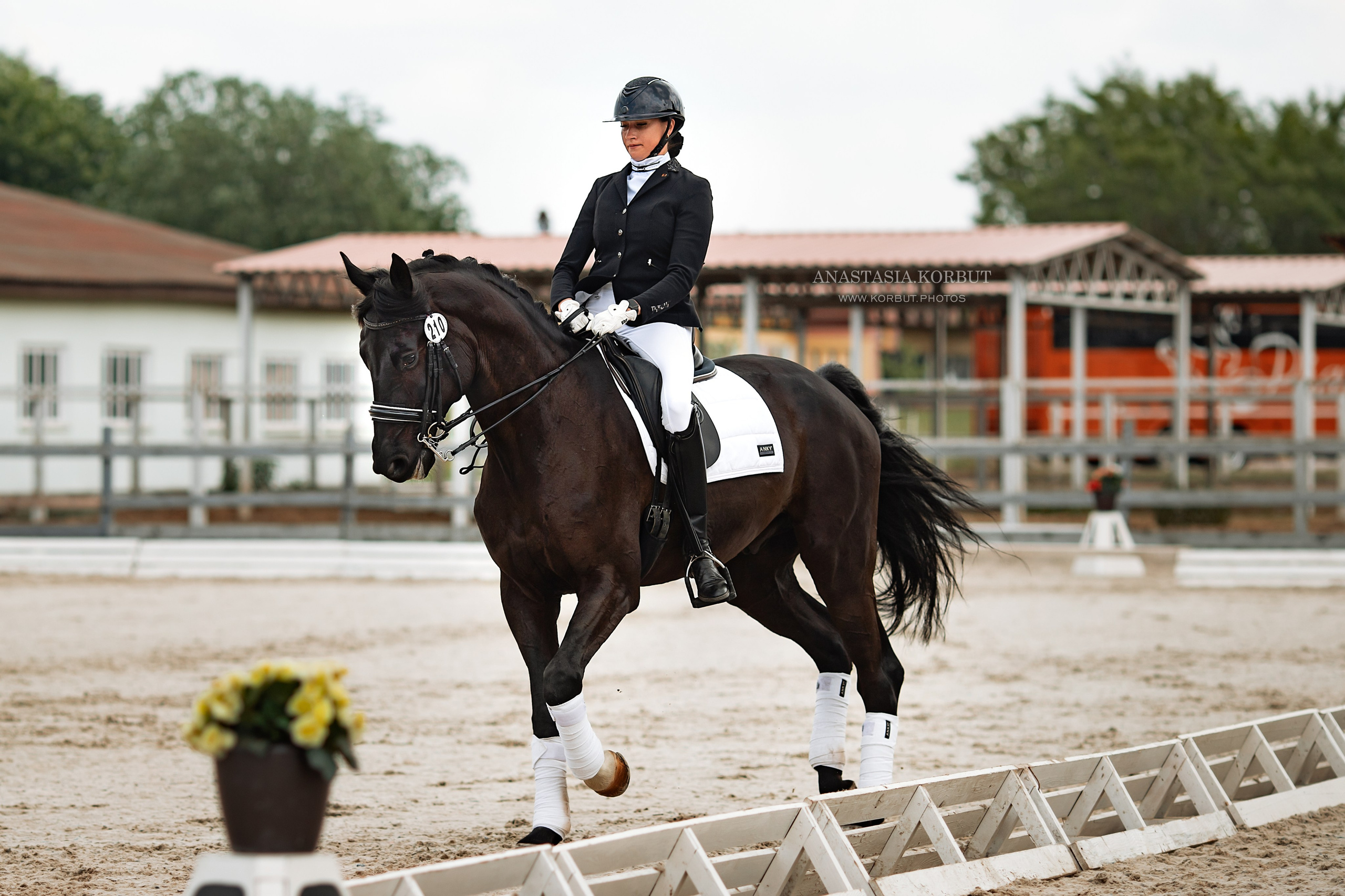 Первенство Беларуси | Май 2023. Арт фотограф в Минске Анастасия Корбут