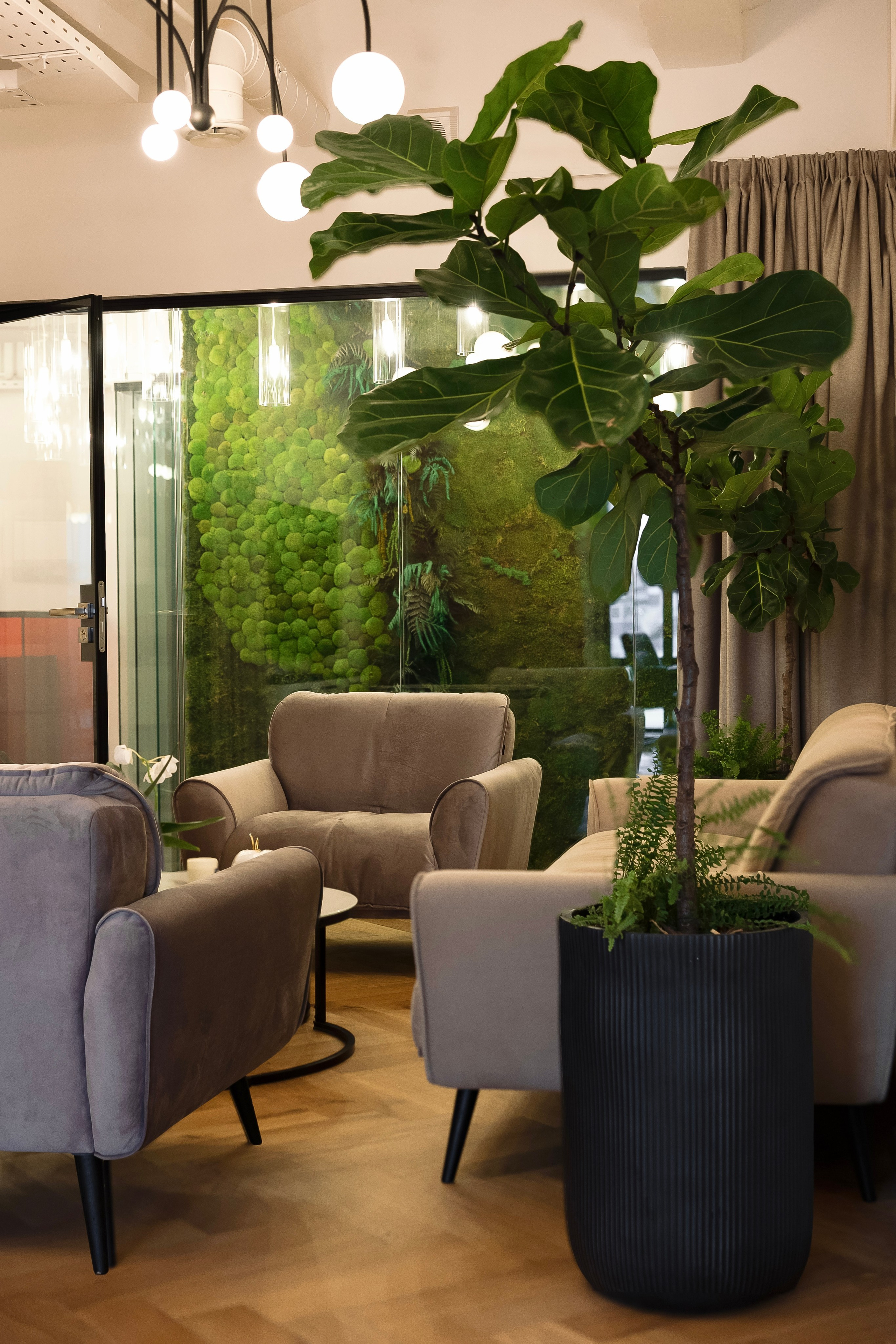 Офис кинопродакшена «StarMedia». Лисенкова Алиса — Фотограф, видеомейкер. Москва