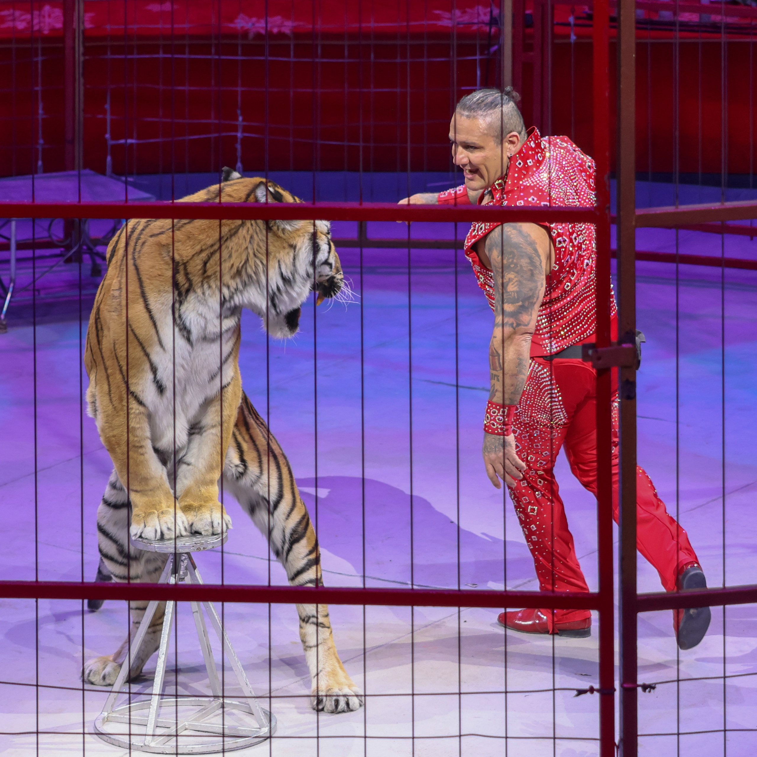 Цирк. Фотограф Дмитрий Алексеев