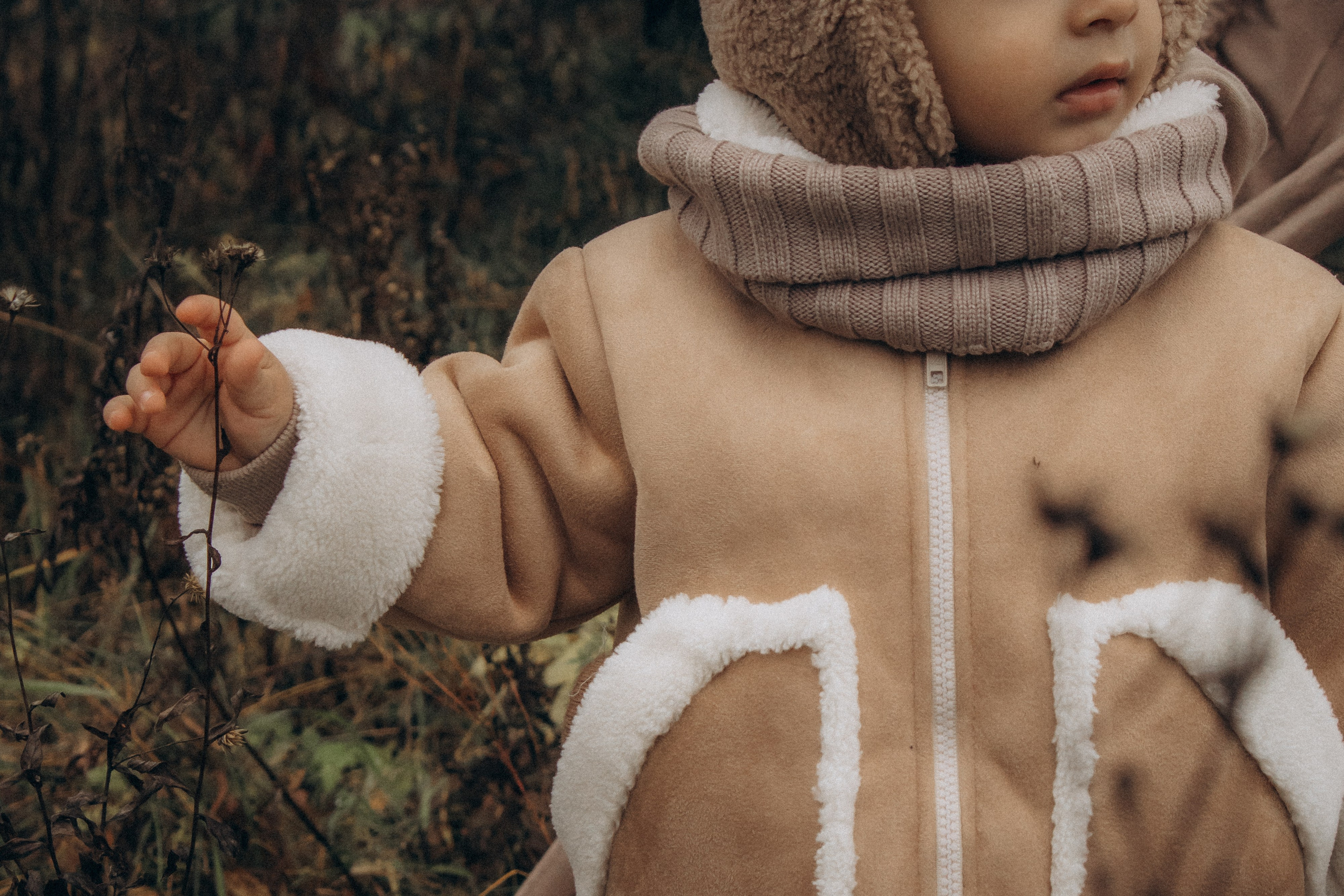 Осенью в лесу. Семейная фотосессия в лесу. Юлия Левада Семейный и женский фотограф