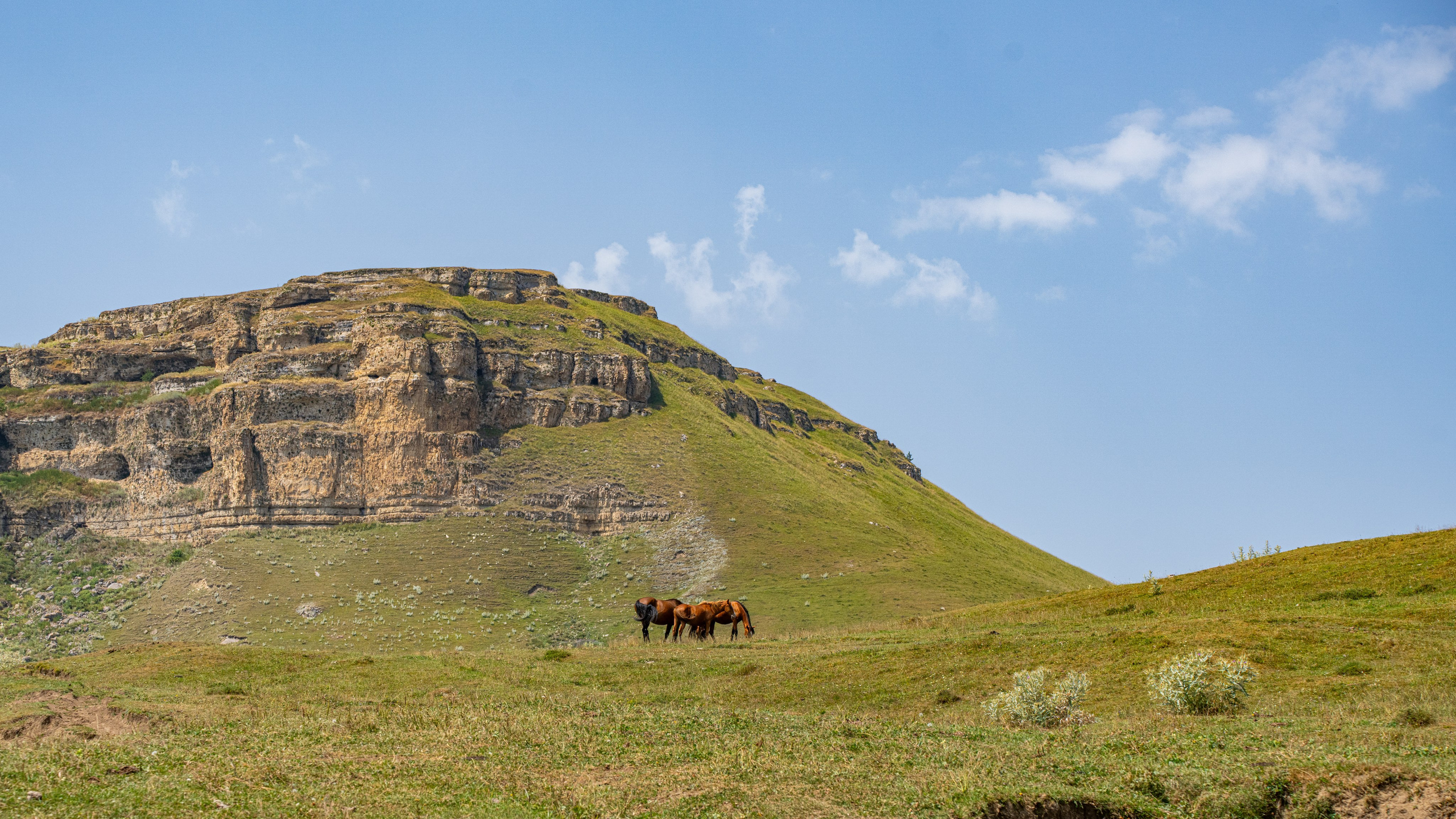 Дагестан. Фотограф в Москве. Шахабудин